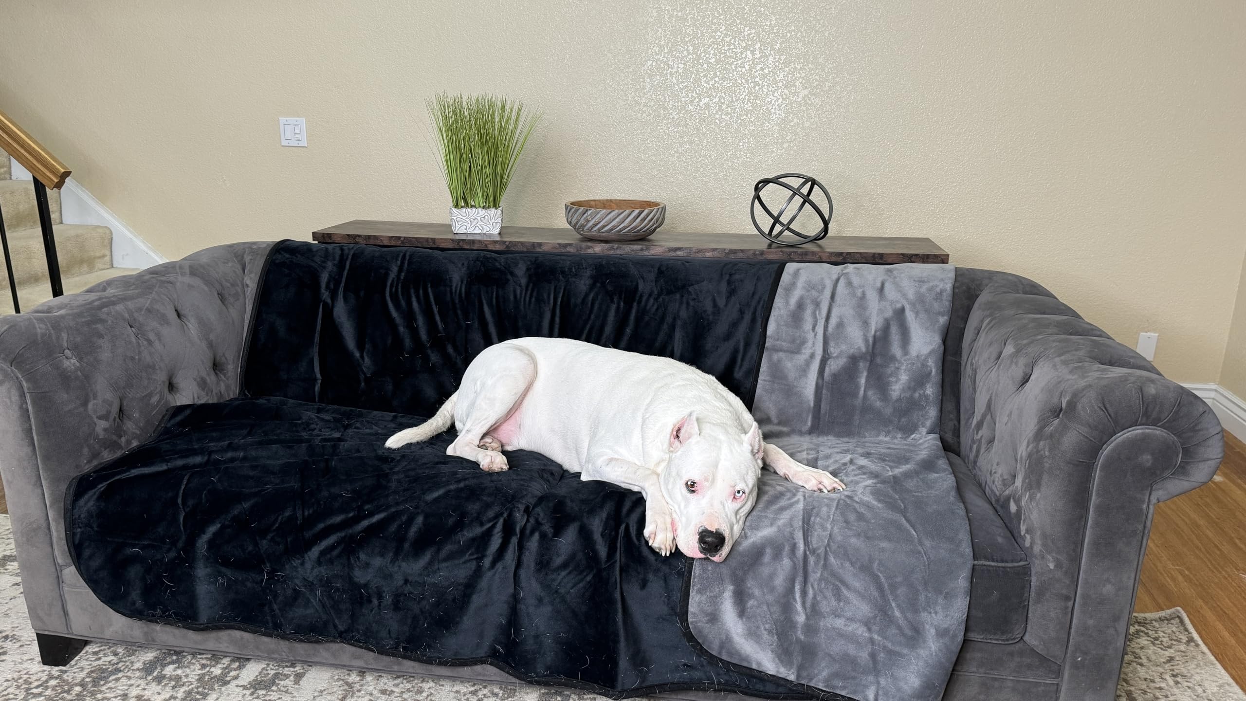 Wesbrad Waterproof, Super Soft, Leak Proof, Totally Pee Proof, Ez-Wash, Durable (80''X60'', Black/Grey) Two-Color Reversable, 3