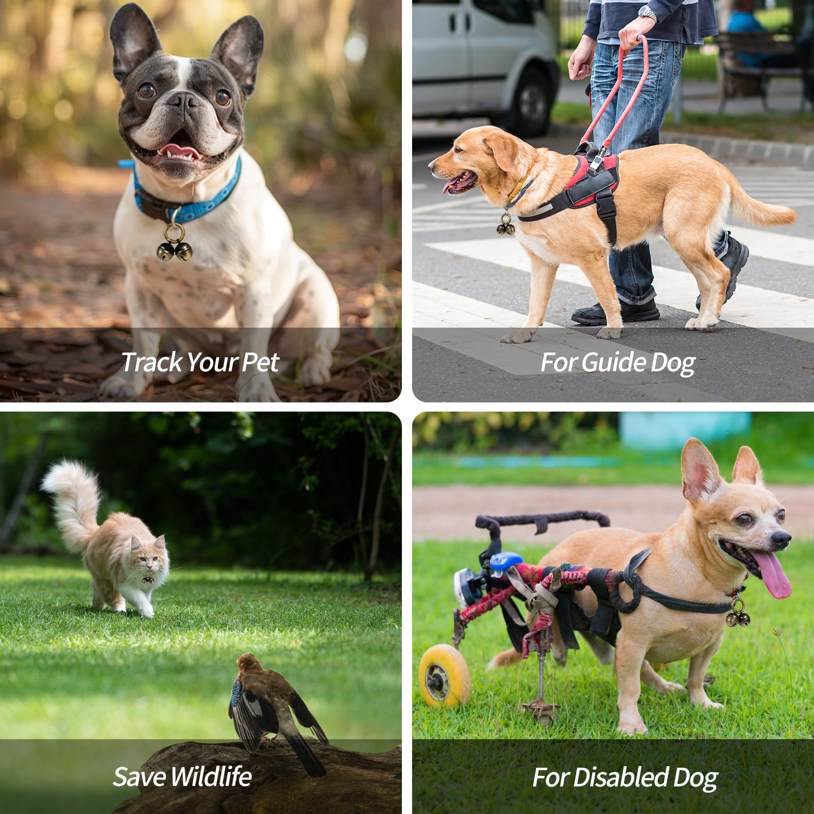 Whimsii Extra Loud Cat & Dog Bell For Collar, Easy Clip Clasps, Pet Tracker & Falconry, Durable Brass Collar Charms (Bronze & Bl