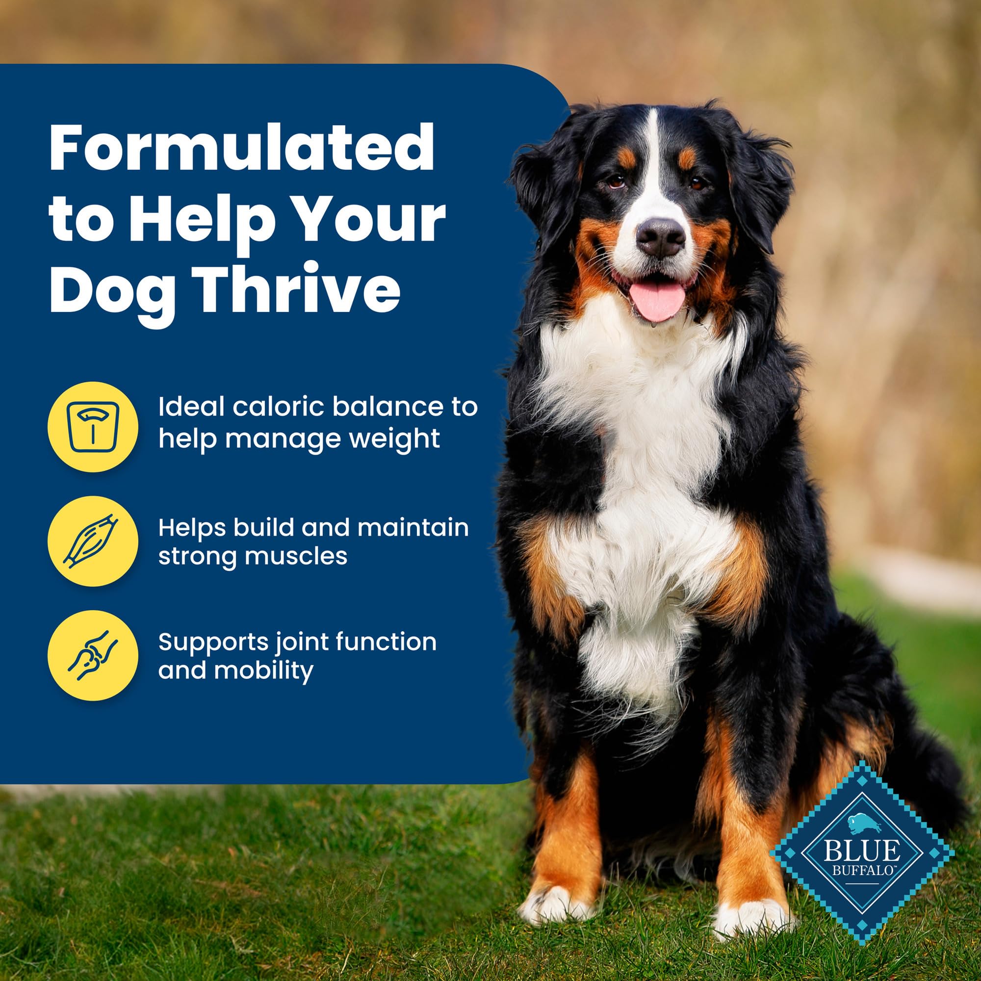 Blue Buffalo Life Protection Formula Healthy Weight Adult Dry Dog Food, Supports an Ideal Weight, Made with Natural Ingredients,