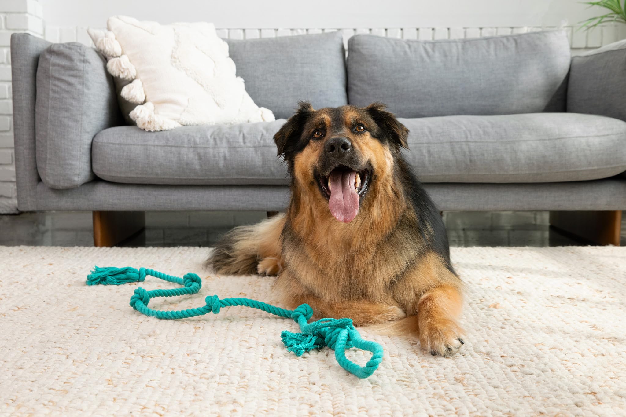 Tumbo Tough Tug Rope Dog Toy - (5 ft Long Strong and Durable Rope Pull Toy with Handle) TUG of WAR Dog Toy (Bahama Blue)