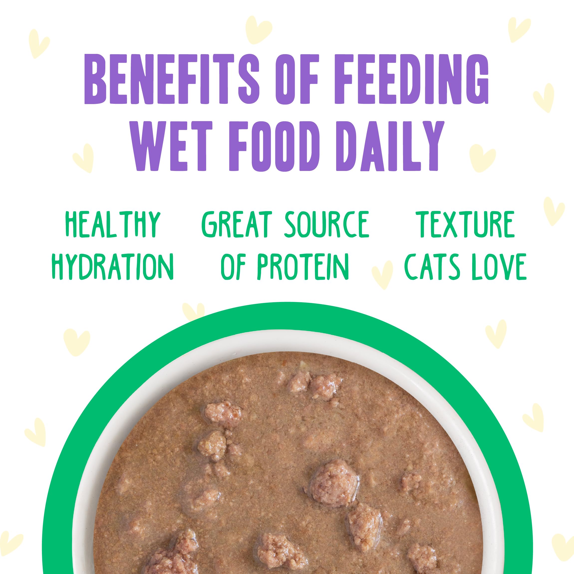 Weruva B.F.F. OMG - Best Feline Friend Oh My Gravy!, Chicken & Turkey Text Me with Chicken & Turkey in Gravy, 2.8oz Pouch (Pack