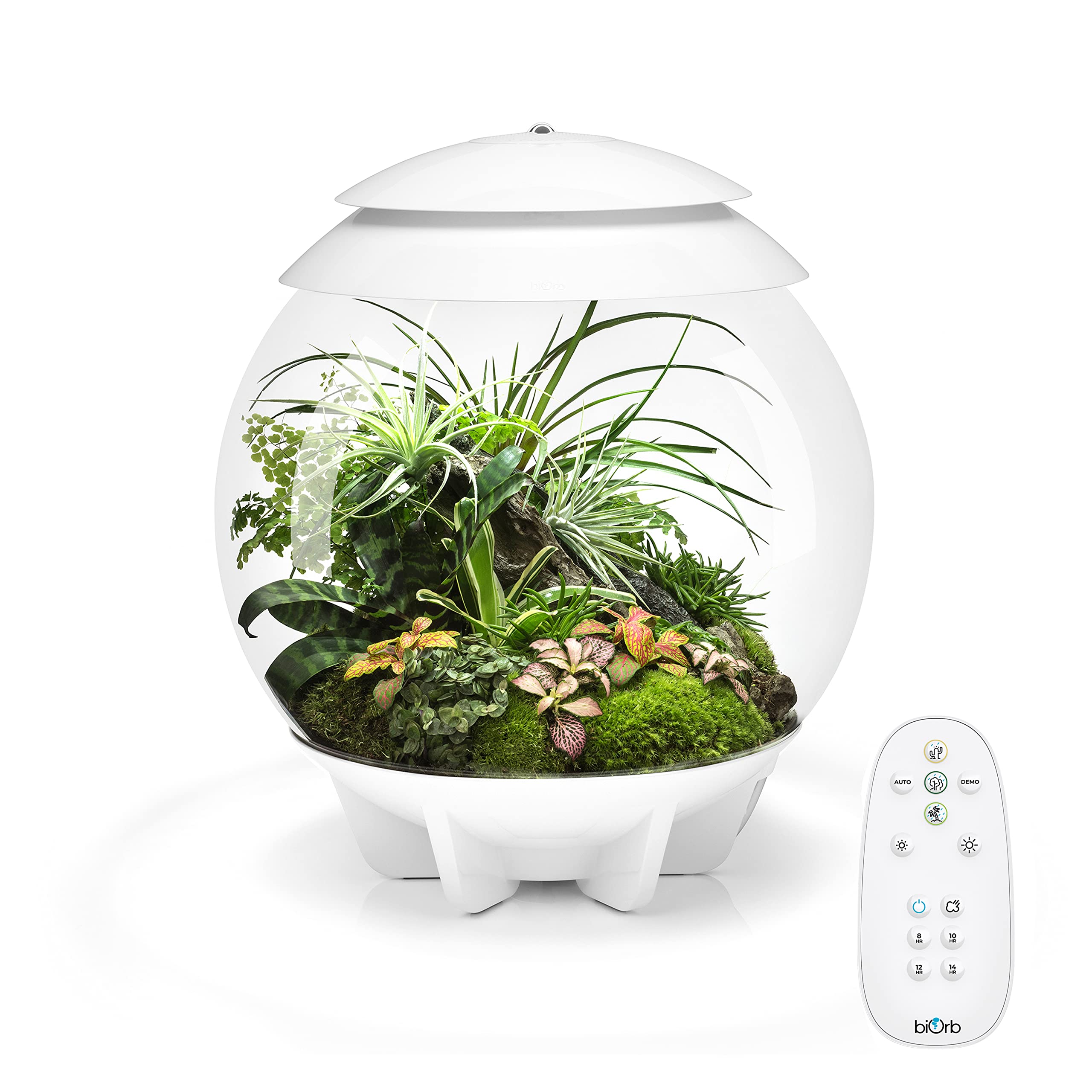 biOrb AIR 30, Fully Automated Terrarium for Arid, Temperate, or Tropical Plants, White
