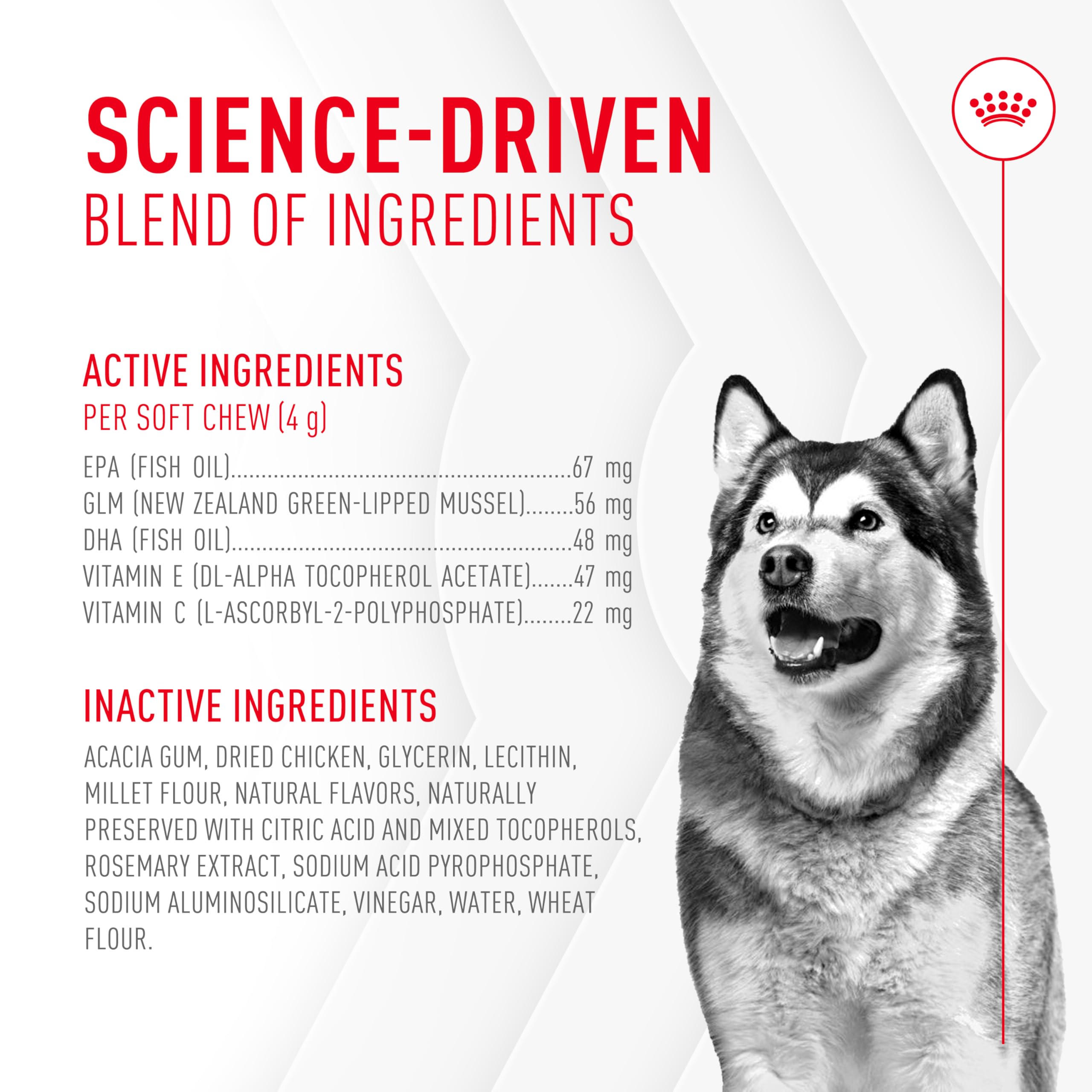 Royal Canin Joint Supplement Soft Chews for Adult Dogs 8.47 oz (60 Count)