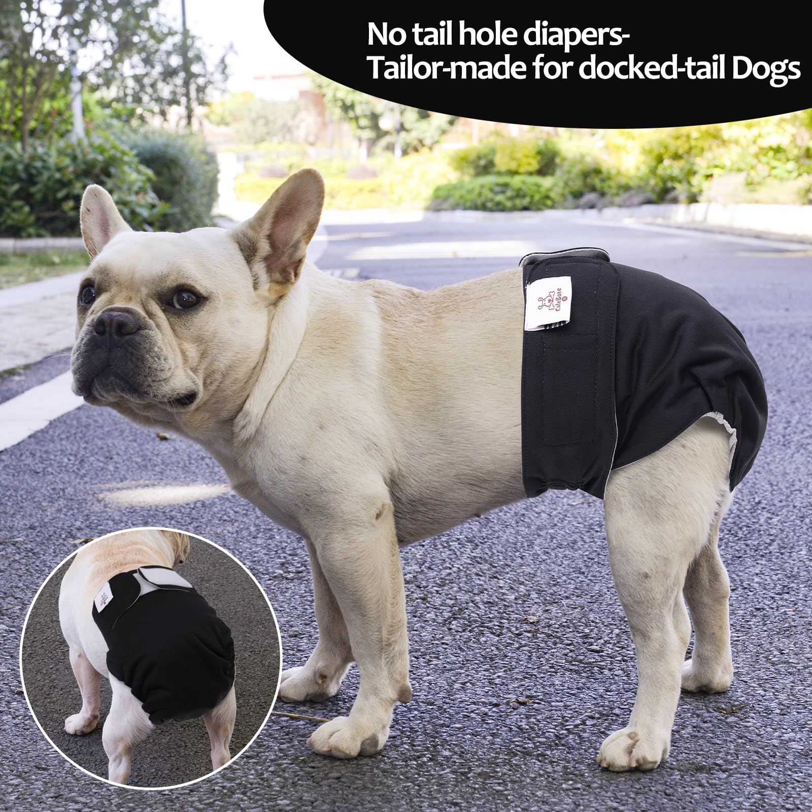Cutebone Washable Dog Diapers Female No Tail Hole 3 Pack Reusable Doggie Period Training Pants For Docked-Tail Frenchie French Bulldog Boston Terrier Without Tail Wwd21M