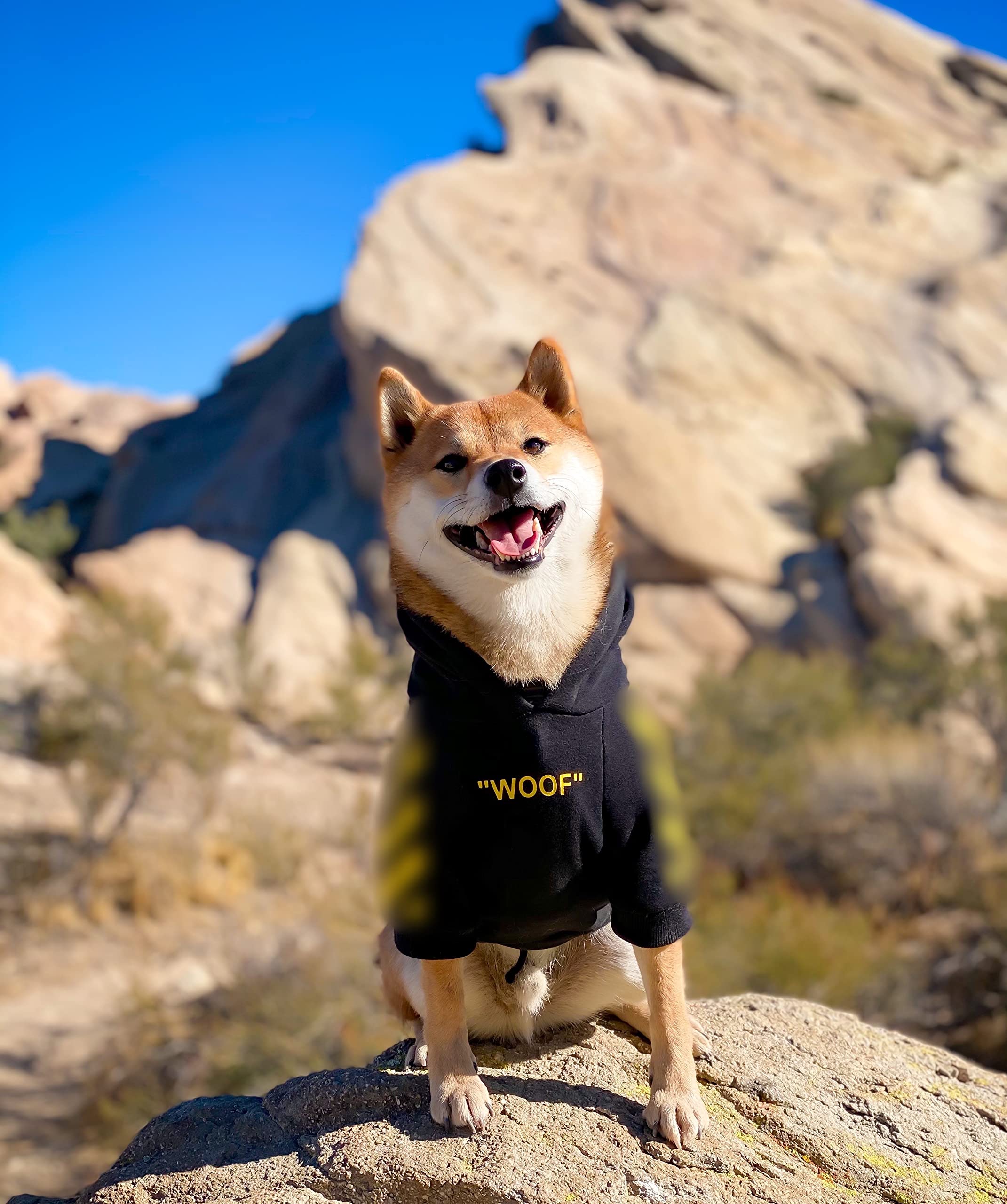 Chochocho Stylish Dog Hoodie Dog Clothes Streetwear Cotton Sweatshirt Fashion Outfit For Dogs Cats Puppy Small Medium Large (4Xl