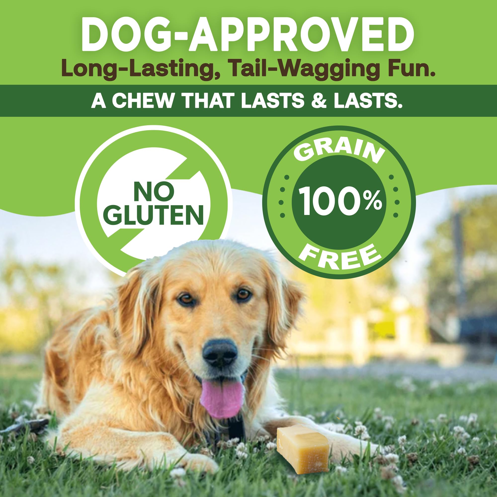 EcoKind Premium Gold Yak Cheese Himalayan Dog Chews, Healthy Dog Treats, Yak Chews for Small Dogs, All Natural, Long Lasting Dog
