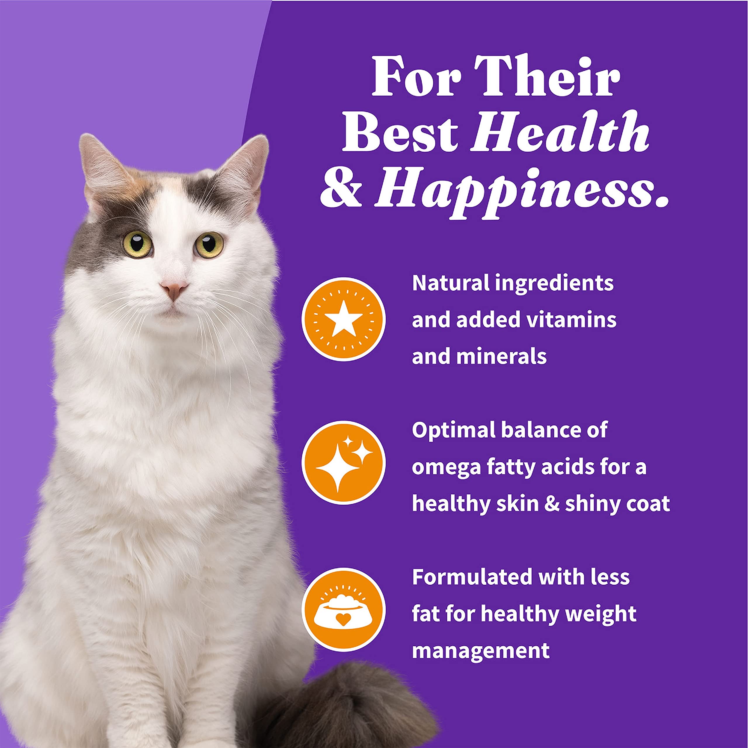 Halo Holistic Cage Free Chicken Cat Food, Grain Free Dry Cat Food, For Healthy Weight Support, Kibble for Indoor Cats, 10 lb Bag