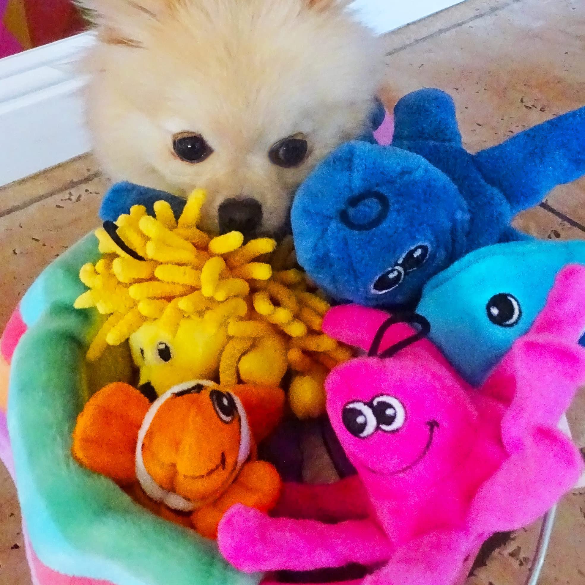 Smartpetlove Tender-Tuffs Tiny - Tough Plush Dog Toys For Puppies And Small Breeds - Stuffed Orange Clownfish With Puncture Resistant Squeaker