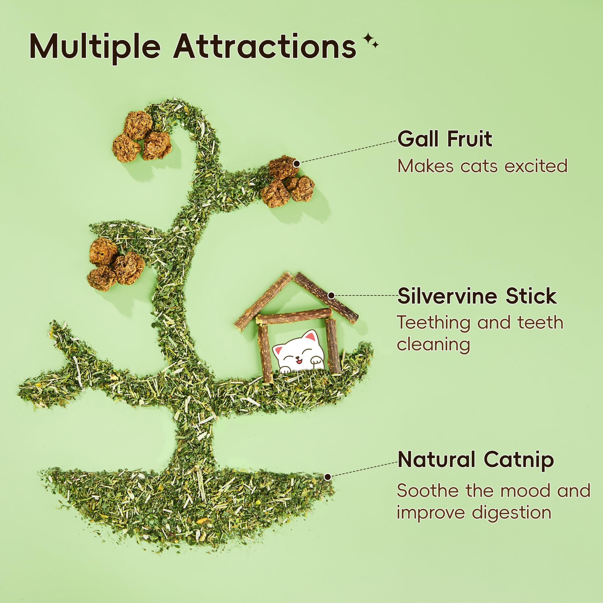 Potaroma Natural Catnip Silvervine Gall Fruit Cat Toys Set With Plush Shell, Organic Kitten Toys For Relaxing And Teething, Inte