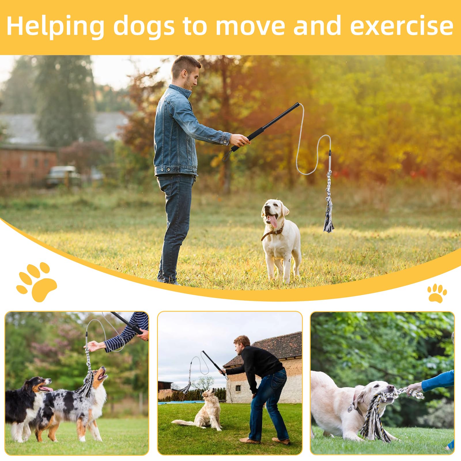 Gingull Outdoor Flirt Pole For Dogs - Interactive Toy Teaser Wand For Dogs Outdoor Chase And Tug Of War Heavy Duty Dog Flirt Pol