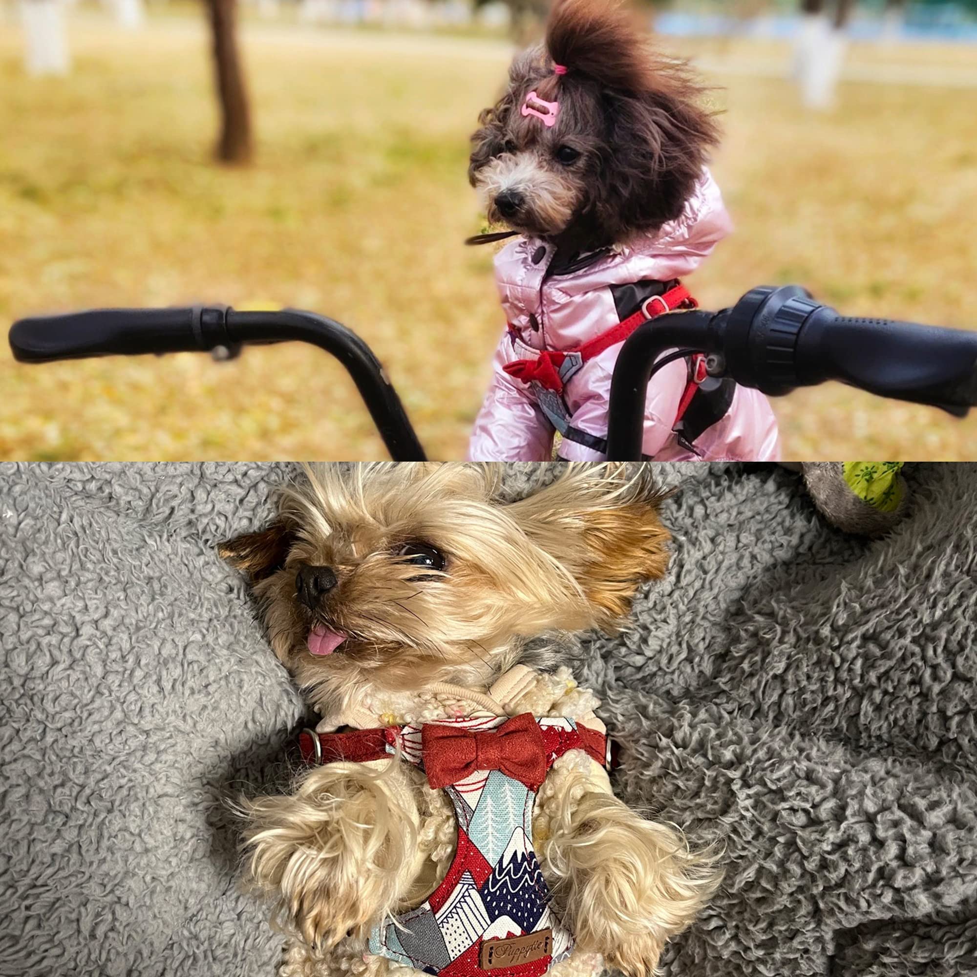 Puppytie No Pull Xs Dog Harness With Multifunction Dog Leash,Soft Adjustable No Choke Escape Proof Pet Harness Vest,Suede Bow Re