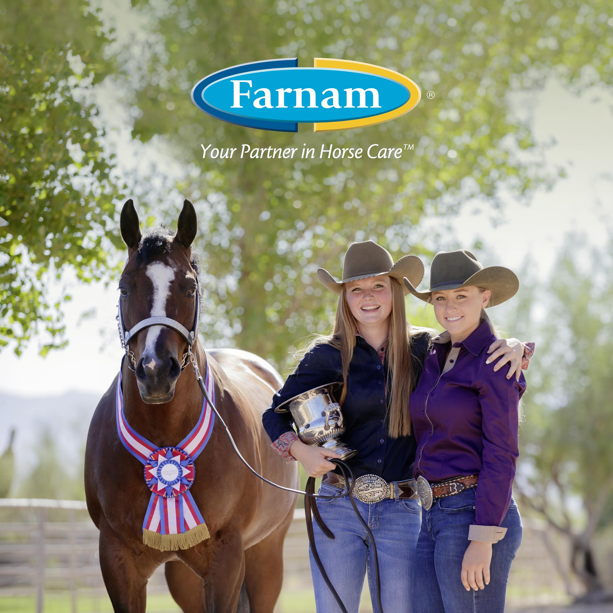 Farnam Quietex Show Calming & Focusing Paste, Helps Keep Horses Calm & Relaxed That Become Nervous in The Show Ring 30 cc