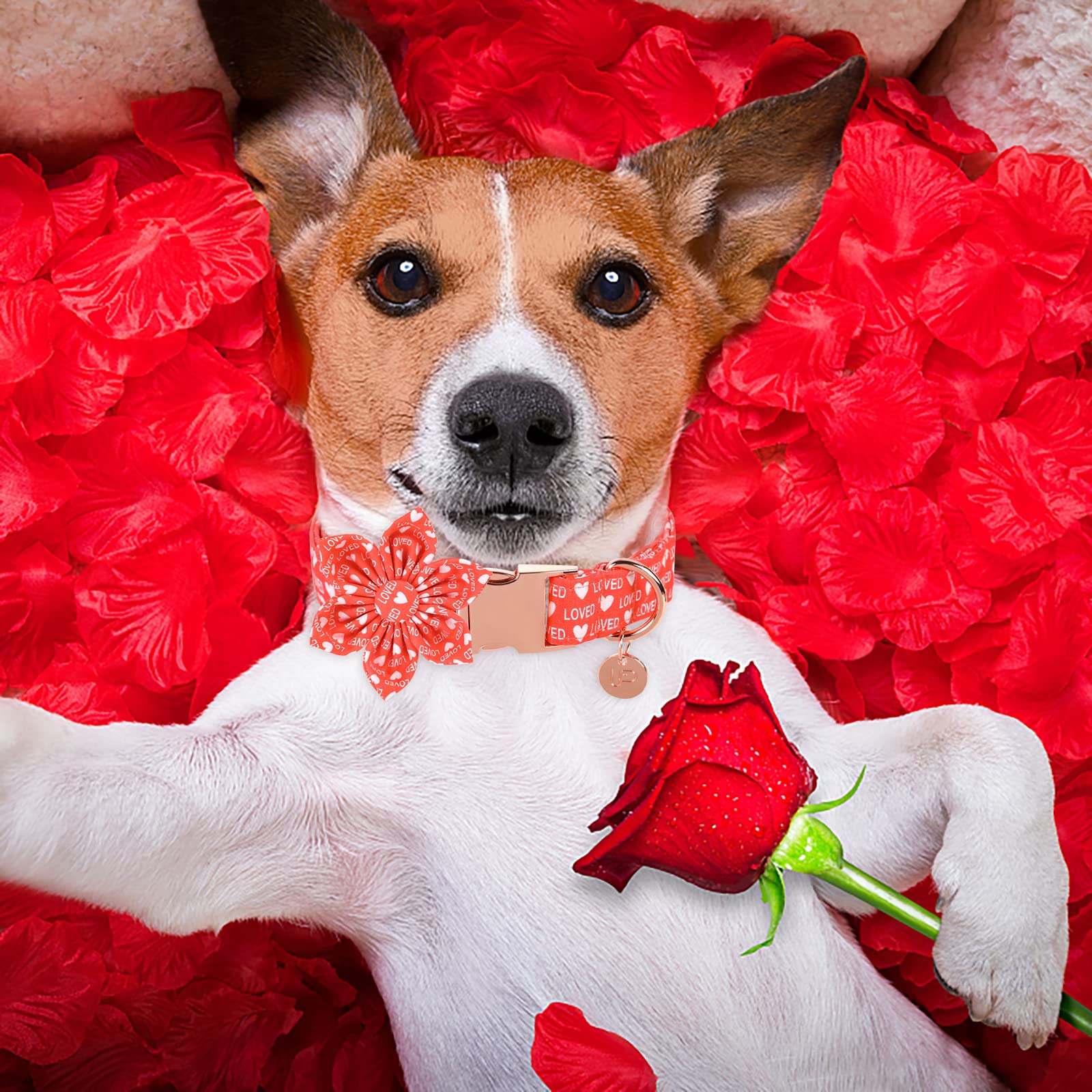 Up Urara Pup Valentine’S Day Dog Collar With Flower, Valentine Flower Collar With Metal Buckle, Valentine’S Day Gift Pet Collar For Puppy Girl Dog Or Cat, Wedding Dog Collar, Red, Xs, Neck 8-12In