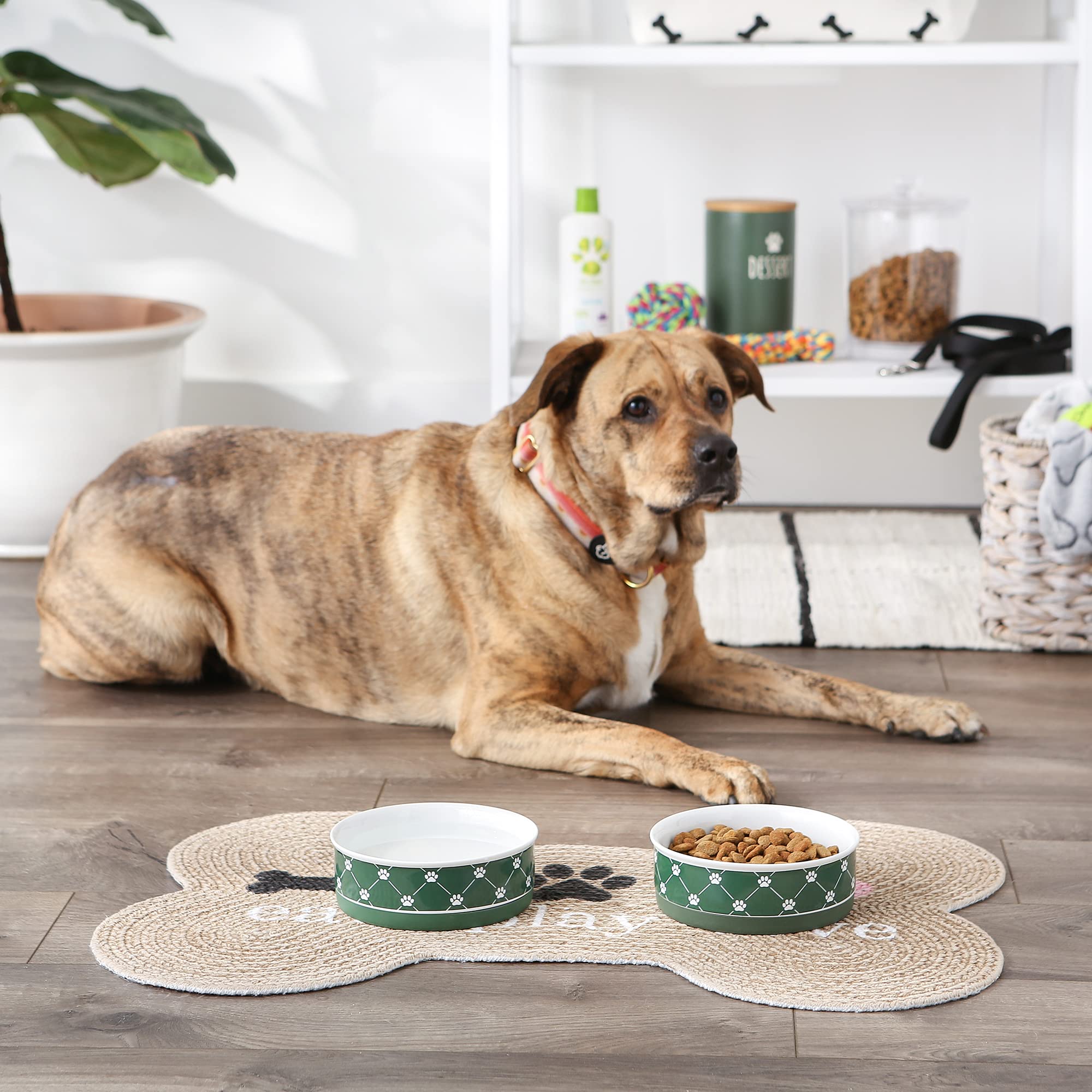DII Pet Bowl Trellis Paw Hunter Green Medium 6Dx2H (Set of 2)