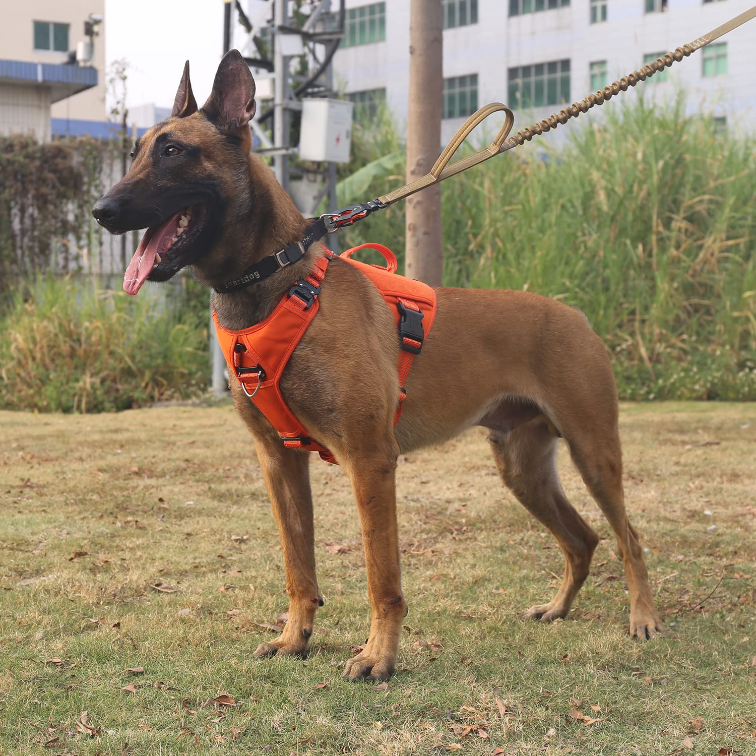 Icefang Gn8 Quick-Moving Tactical Dog Harness With Handle,Reflective In Training Walking K9 Vest,No-Pull Front Lead,5-Points Adjustable,Hook And Loop Panels (Elite Orange, X-Large (Pack Of 1))