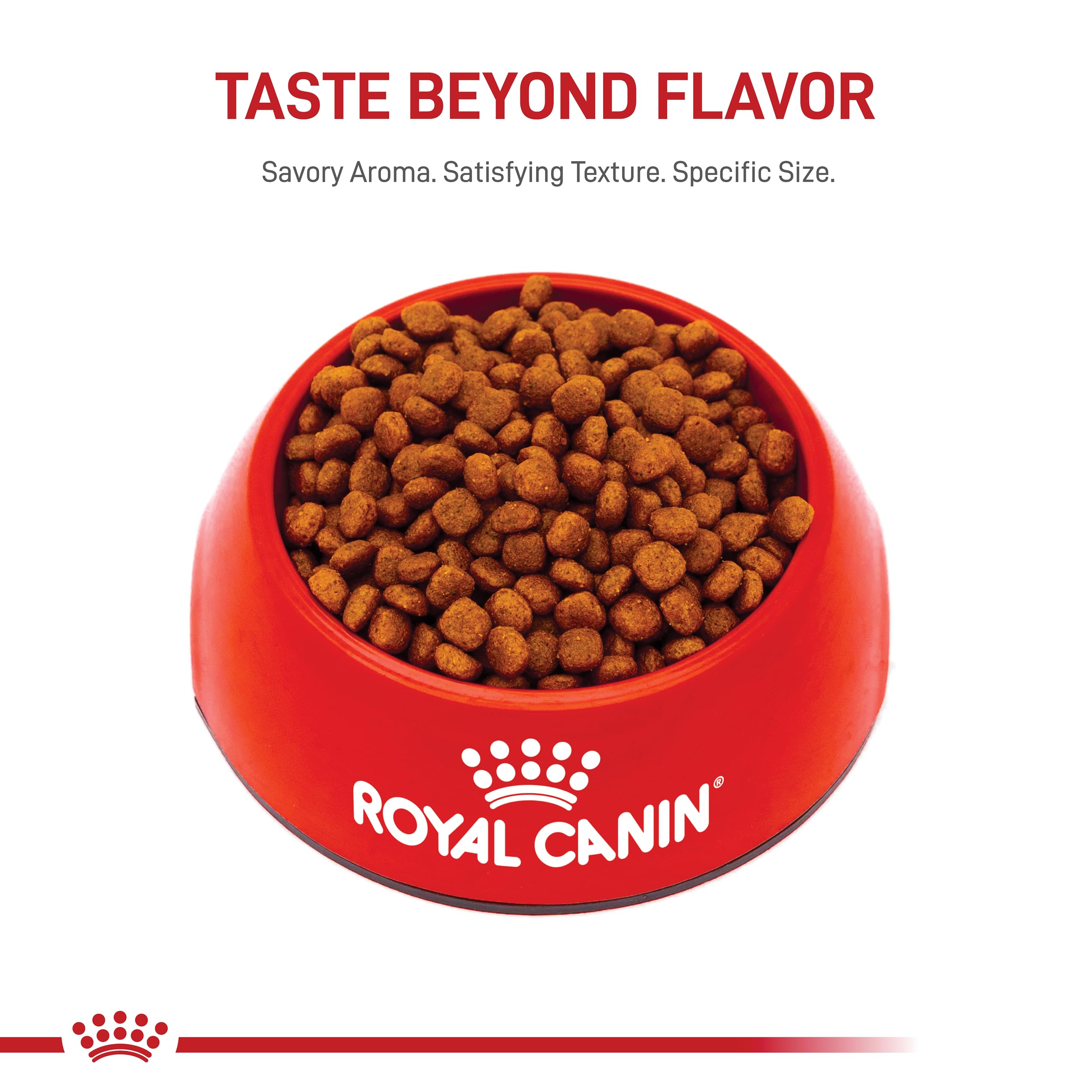 Royal Canin Cavalier King Charles Puppy Dry Dog Food, 3 lb bag