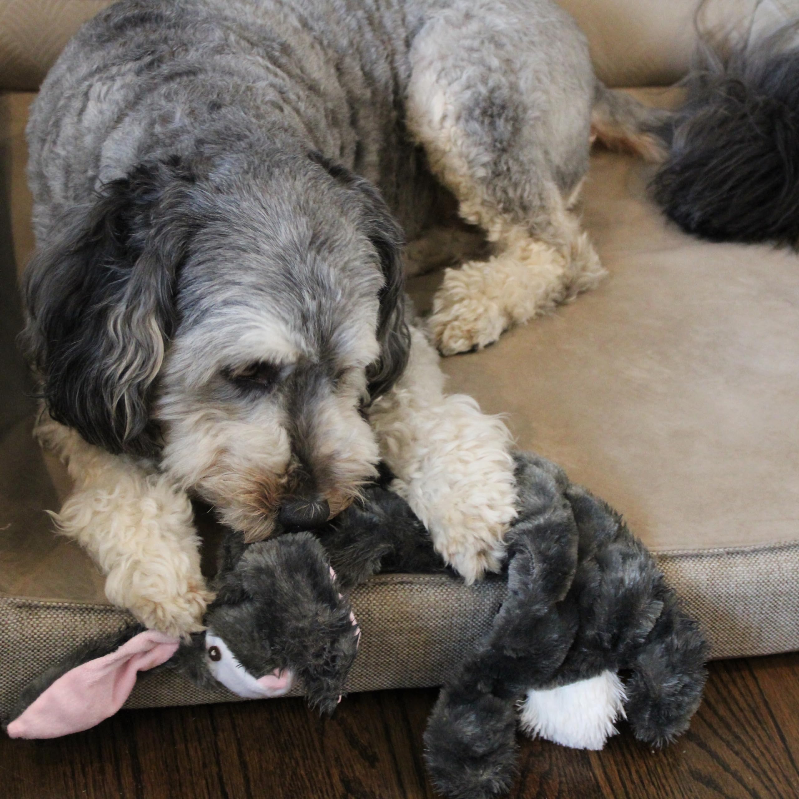 Skinn20' Rabbit Dog Toy