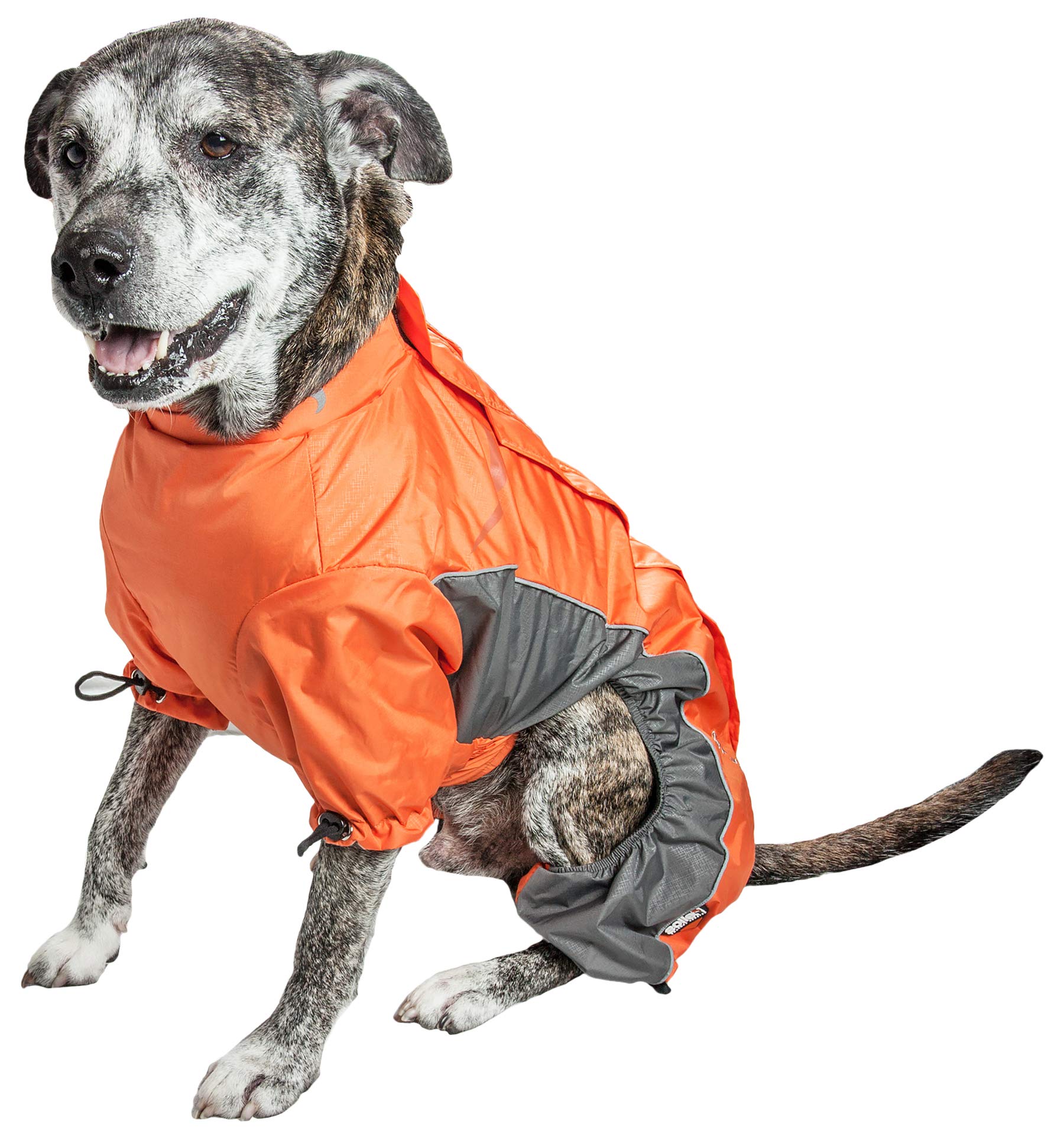DOGHELIOS Blizzard Full-Bodied Comfort-Fitted Adjustable and 3M Reflective Winter Insulated Pet Dog Coat Jacket w/ Blackshark