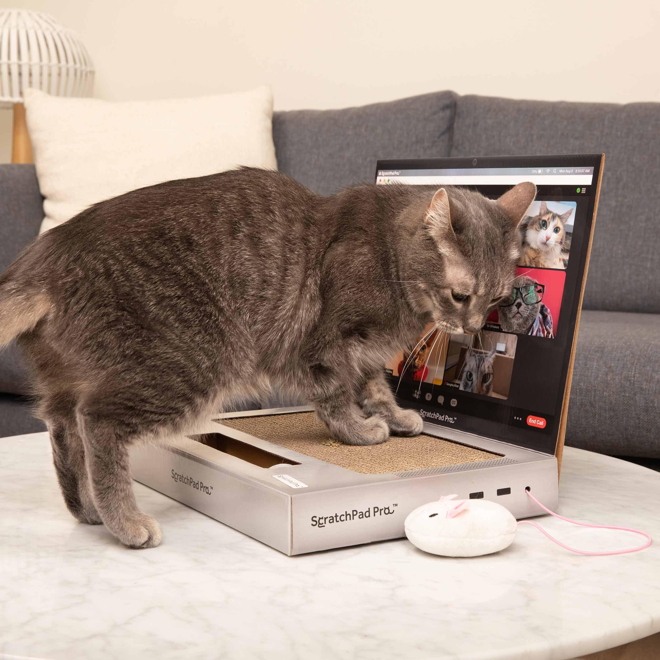 Scratchpad Pro - Cardboard Laptop Cat Scratcher, Interactive Cat Toys For Indoor Cats, Kitten Supplies And Cat Stuff By Relatabl
