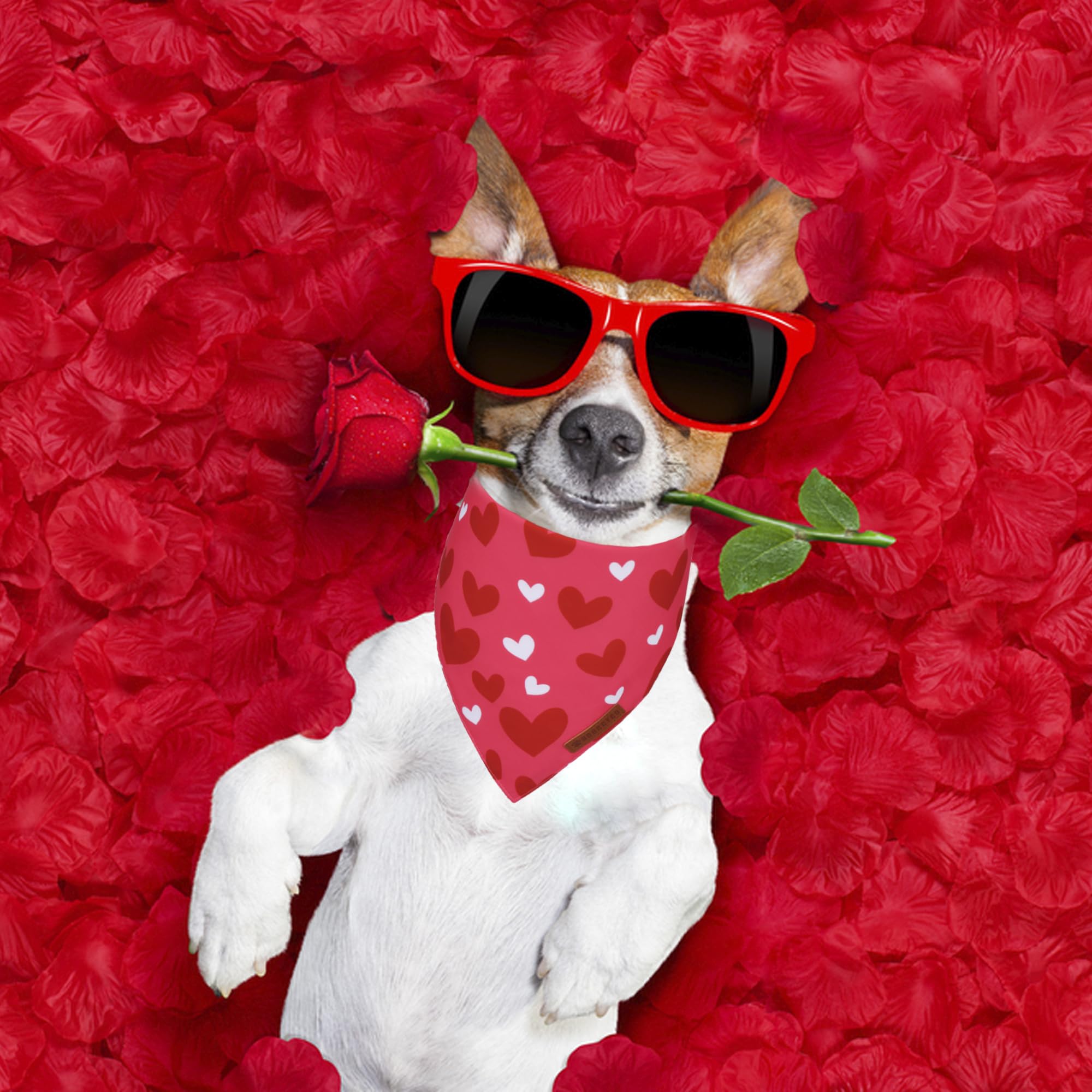 Adoggygo Valentine Dog Bandana, Heart And Love Pet Scarf, Premium Durable Fabric, Red Pink Valentine Bandanas For Medium Large D