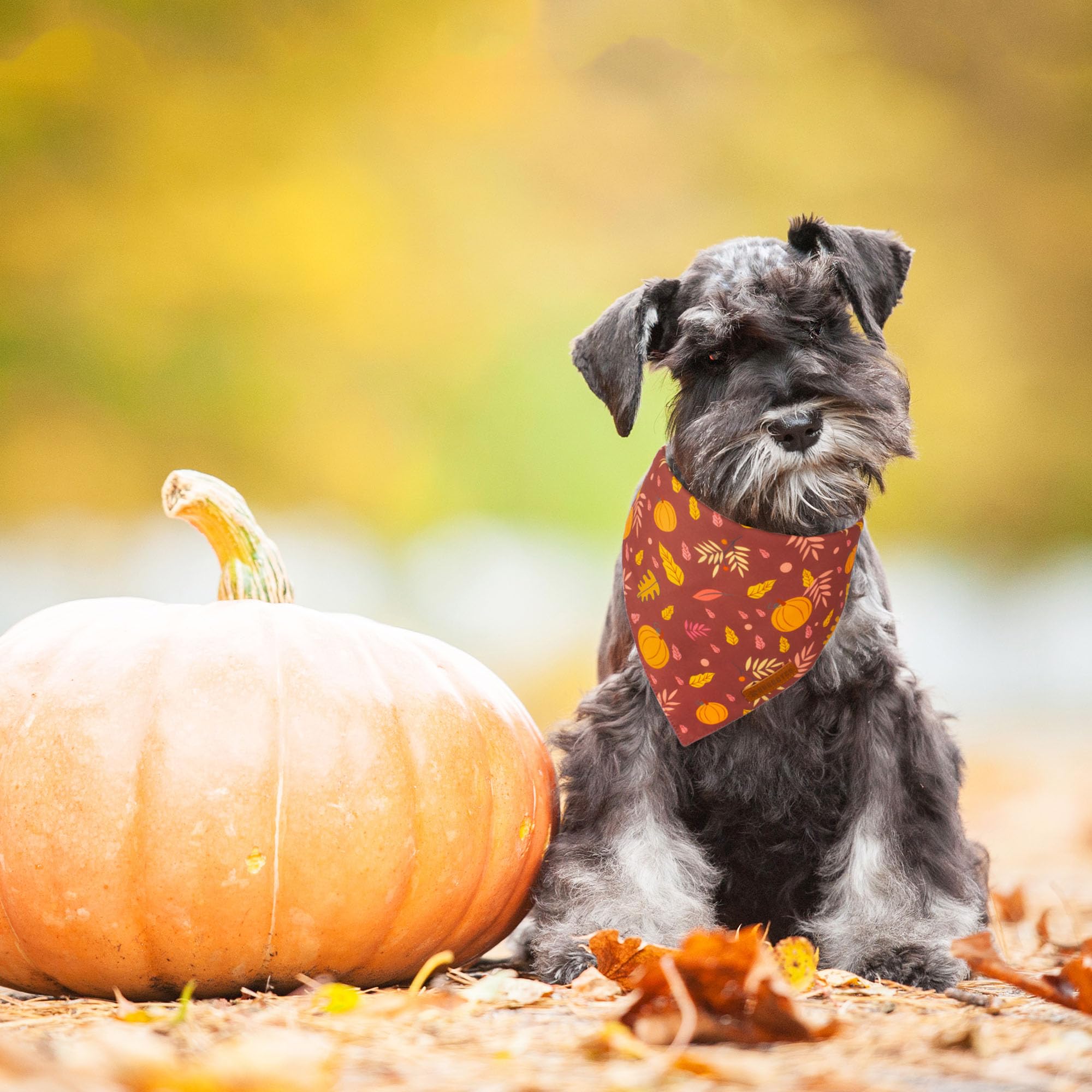 Adoggygo Thanksgiving Dog Bandana, Pumpkin Turkey Pet Scarf, Multi Size Offered, Fall Autumn Leaves Thanksgiving Bandanas For Sm