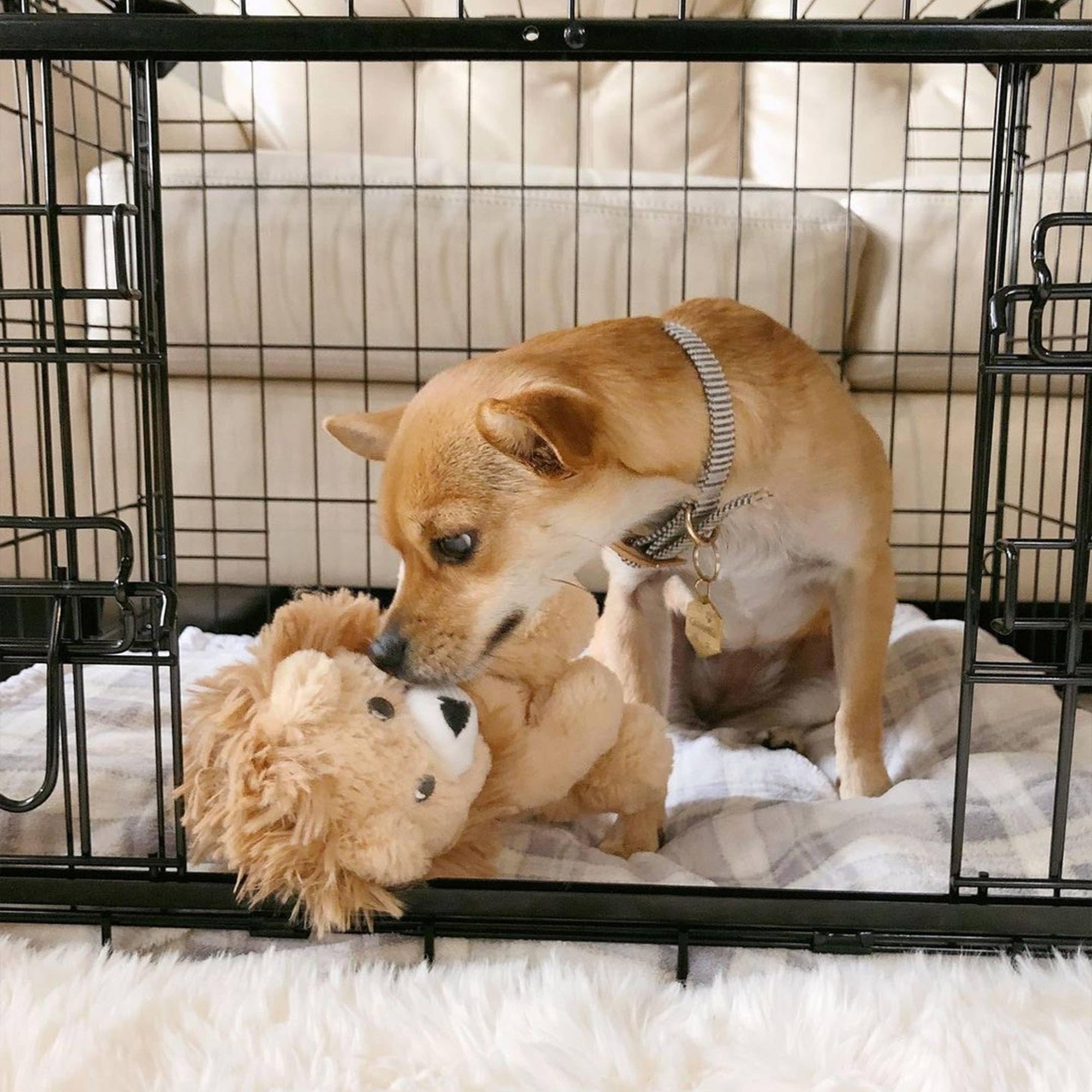 Lucky Dog Dwell Series 24 Inch Small Lightweight Kennel Secure Fenced Pet Dog Crate W/Divider Panels, Sliding Doors, And Removable Tray, Black