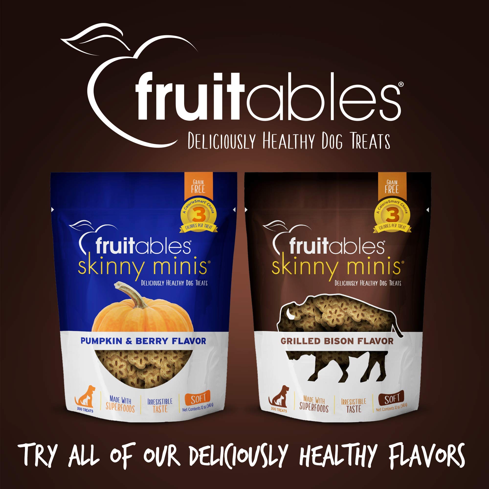 Fruitables Skinny Mini Dog Treats ?Grilled Bison ?Dry Biscuit ?12Oz