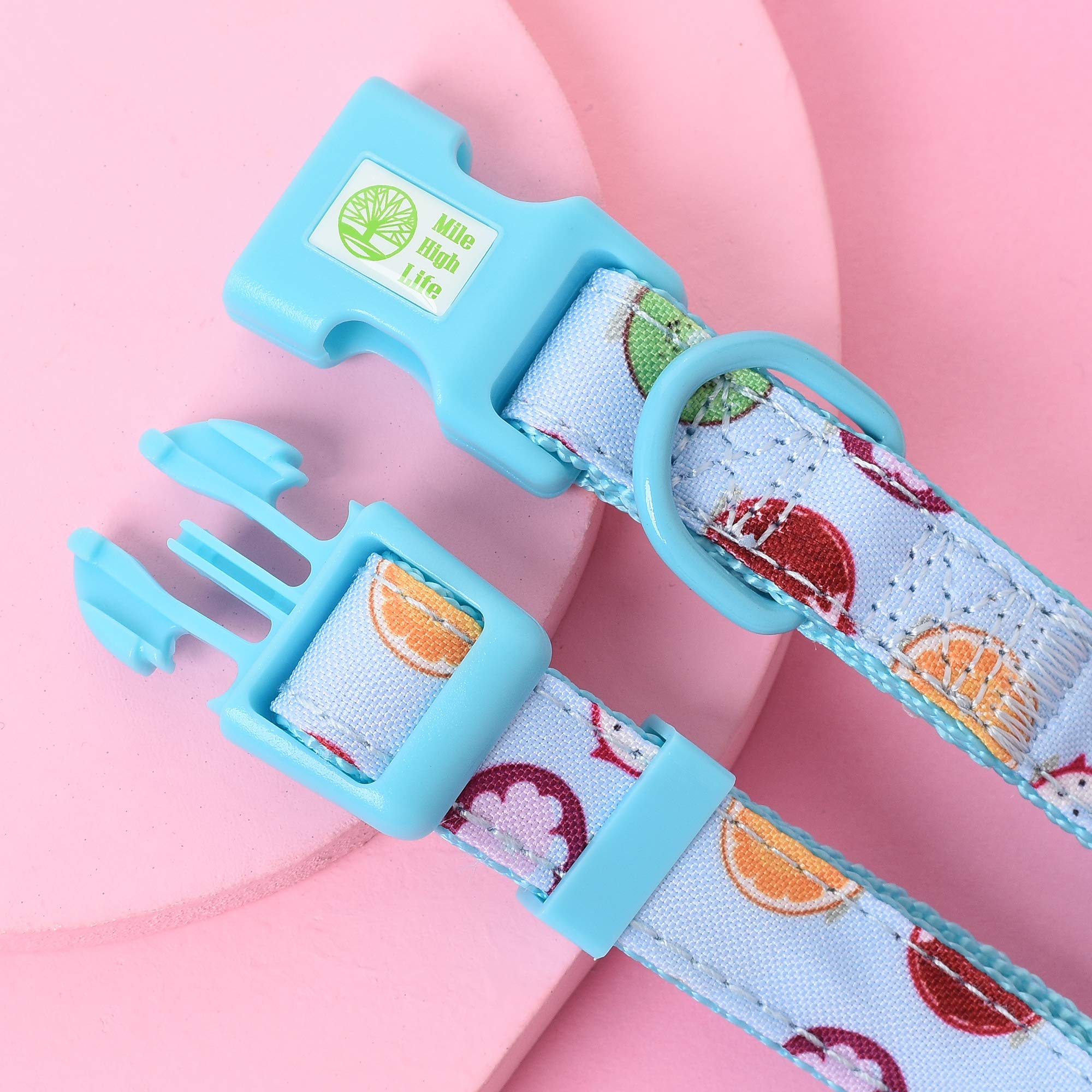 Mile High Life | Cute Dog Collar | Lightweight | Soft Poly Cotton Fabric | Citrus, Flower & Fruit Pattern (Xs)