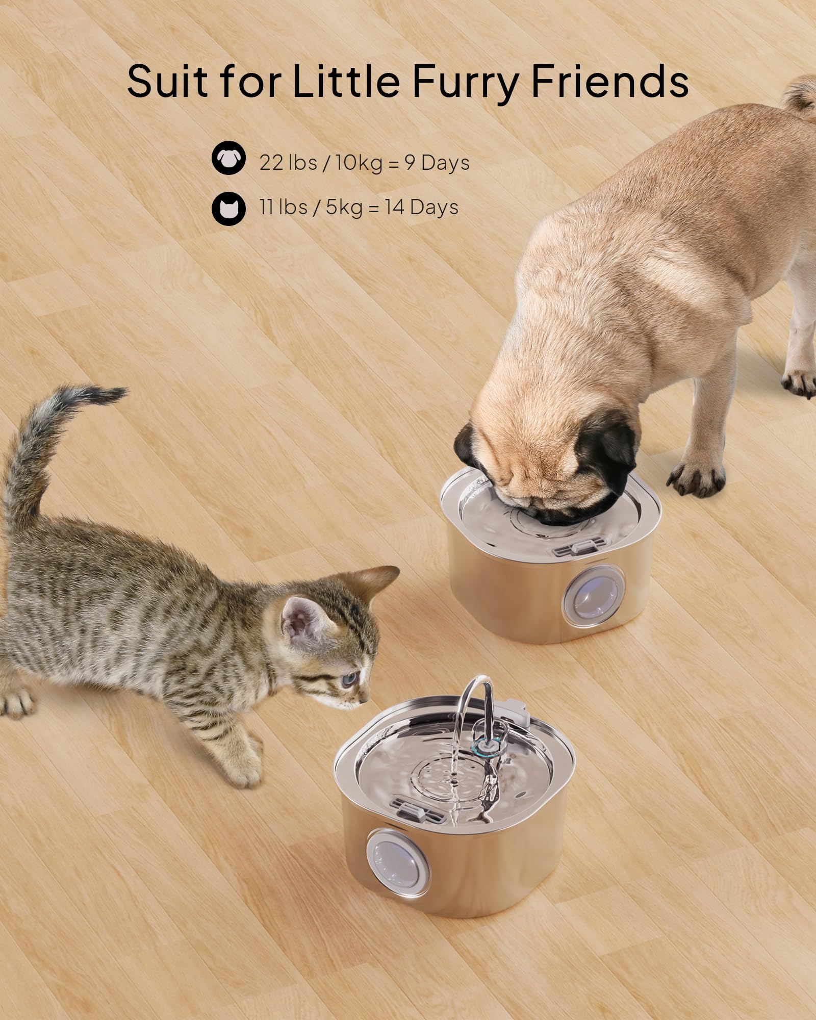 Pektaco Cat Water Fountain, Pet Water Fountain For Cats/Dogs Indoor, Stainless Steel Cat Drinking Fountains With Water Level Win