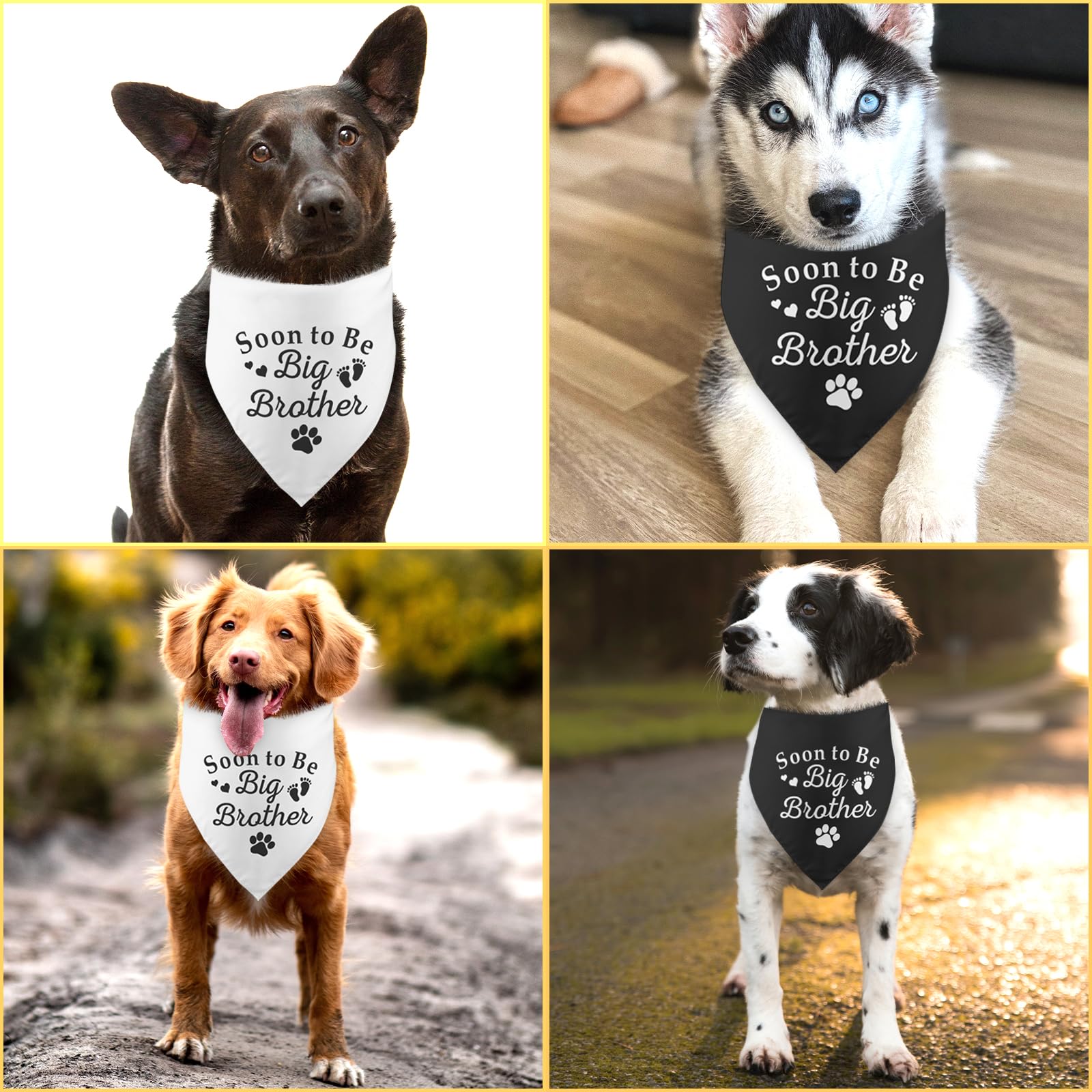 2 Pack Soon To Be Big Brother Dog Bandana Baby Announcement Dog Bandana Pet Dog Pregnancy Announcement Gender Reveal Photo Prop