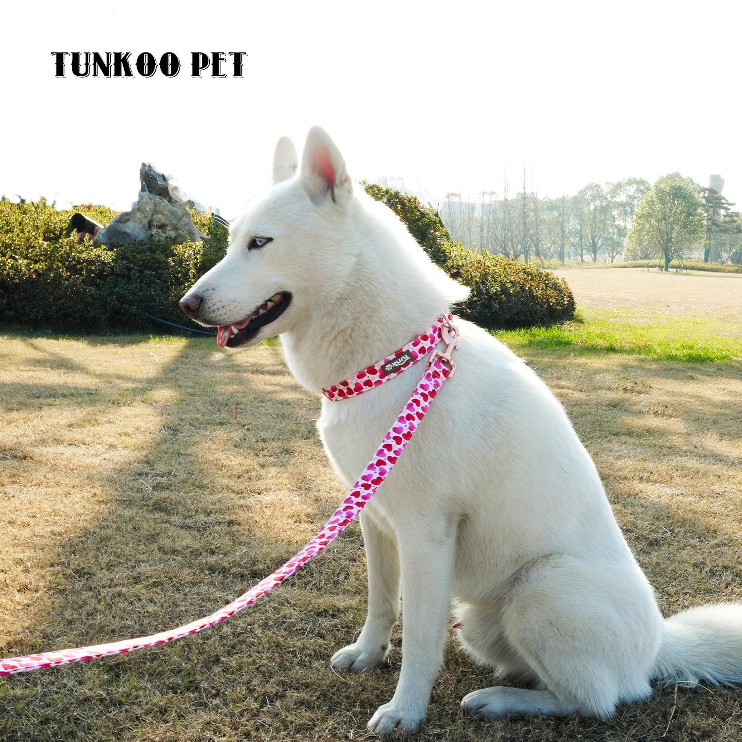 Tunkoo Valentine'S Day Dog Collar, Cute Adjustable Heart Collar For Boy And Girl Dogs, Dog Collar With Strong Plastic Buckle - F