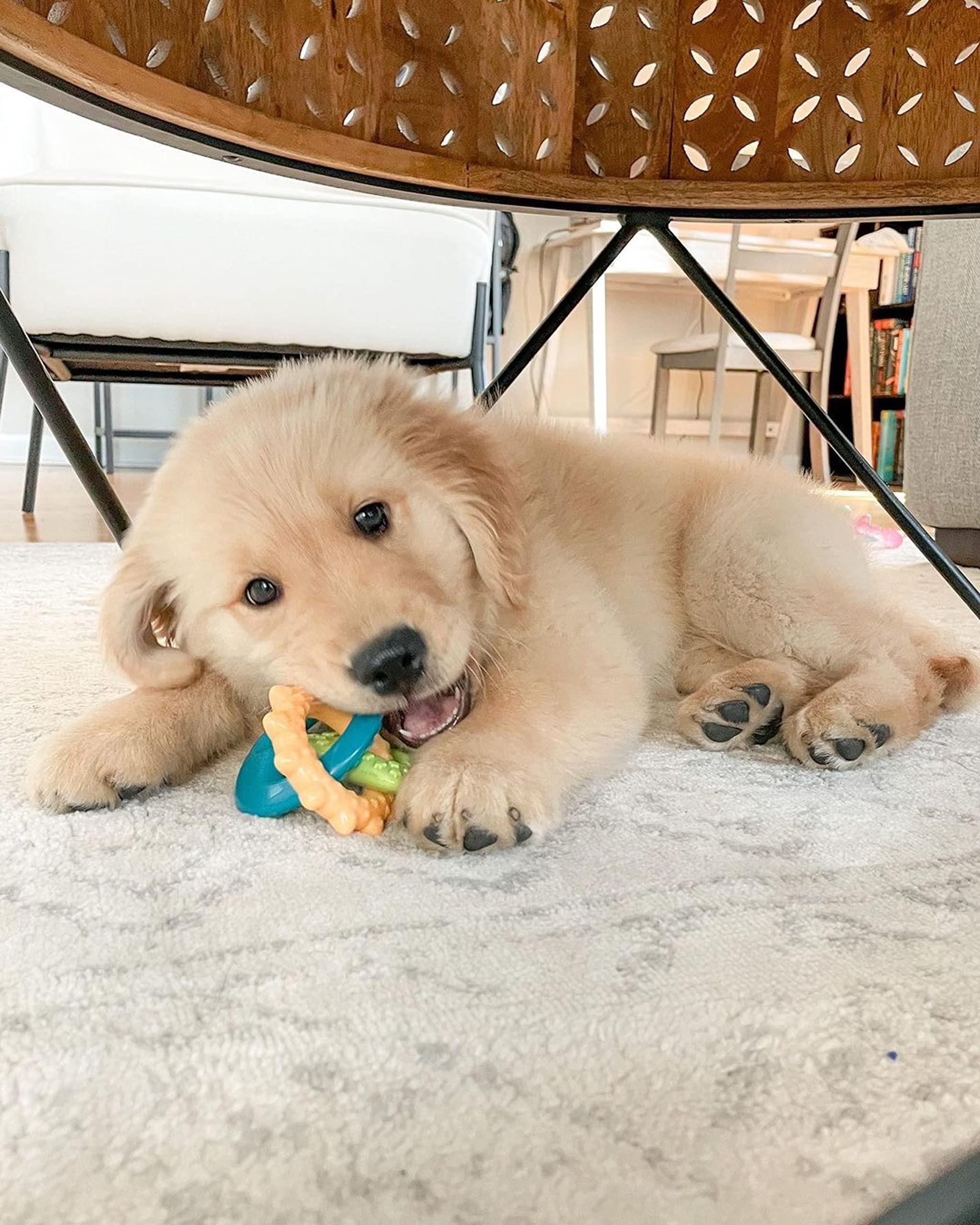 Nylabone Teething Rings Power Chew Toy For Dogs, Dog Toys For Aggressive Chewers, Bacon Flavor, Small - Up To 25 Ibs, 1 Count