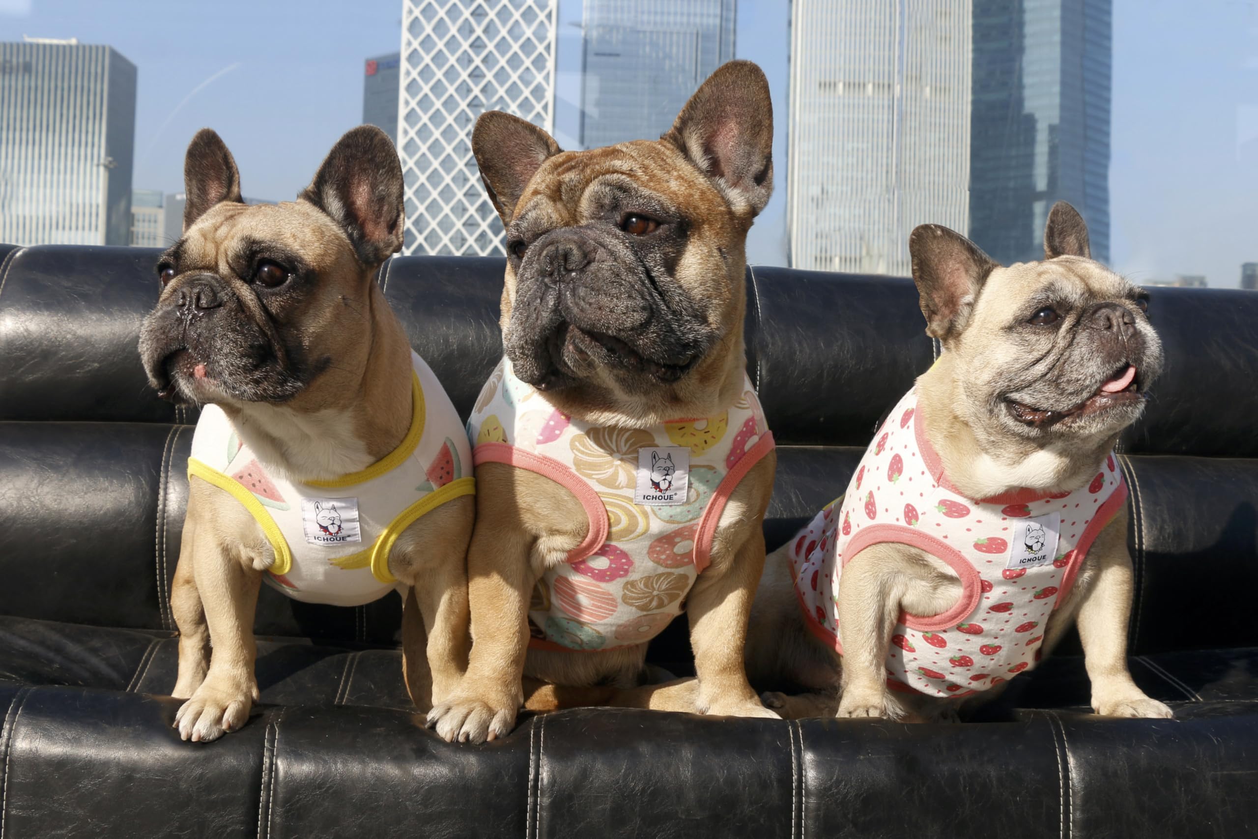 iChoue 100% Breathable Cotton Pug Halloween Cartoon T Shirts Cute Clothes for Dogs Vest Tank Tops Puppy French Bulldog Frenchie