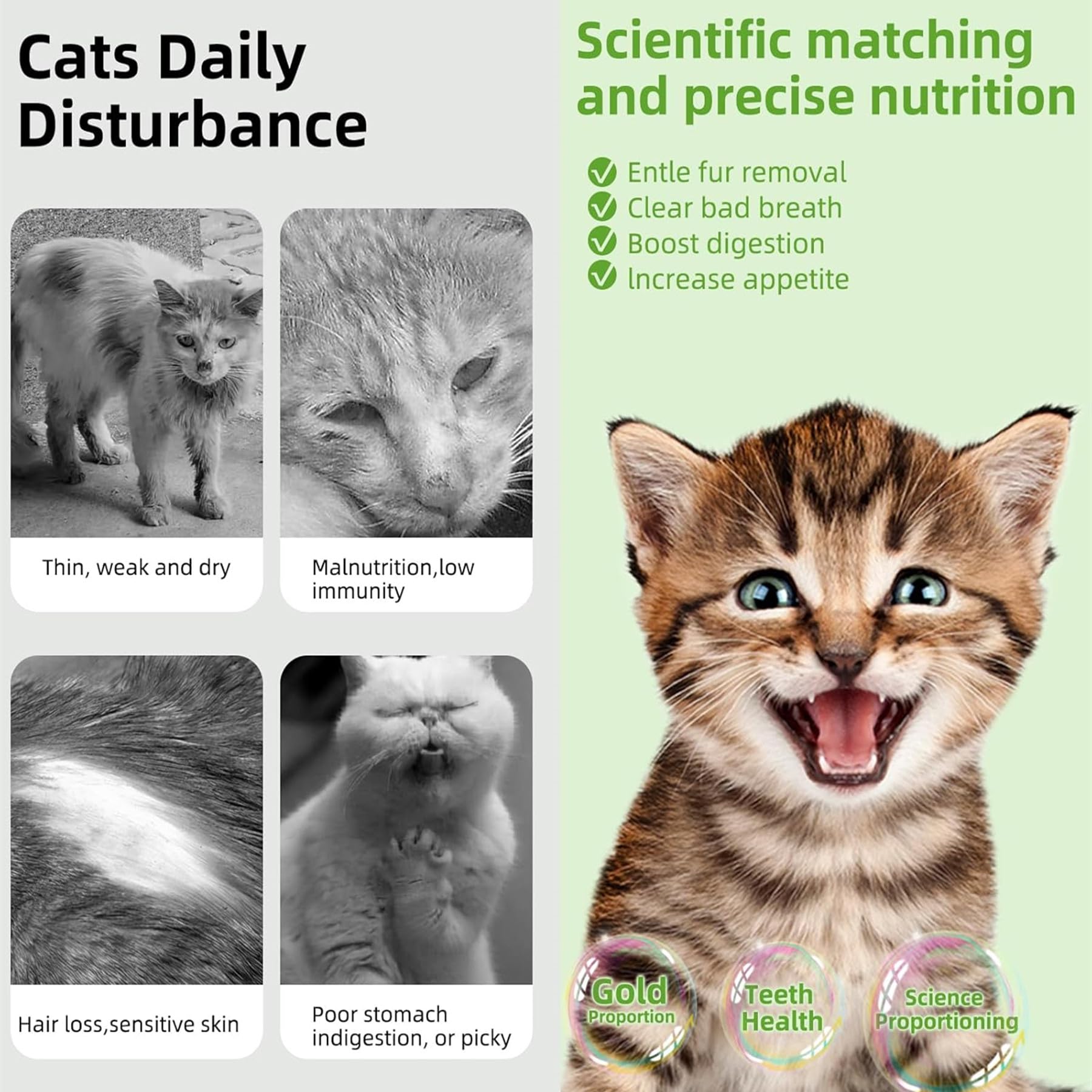 Grembeb Cat Toys 6Pack Kitten Grass Treat Stick Catnip Toy With Silvervine For Indoor Kitten Toys Kitten Grass Sticks For Teeth