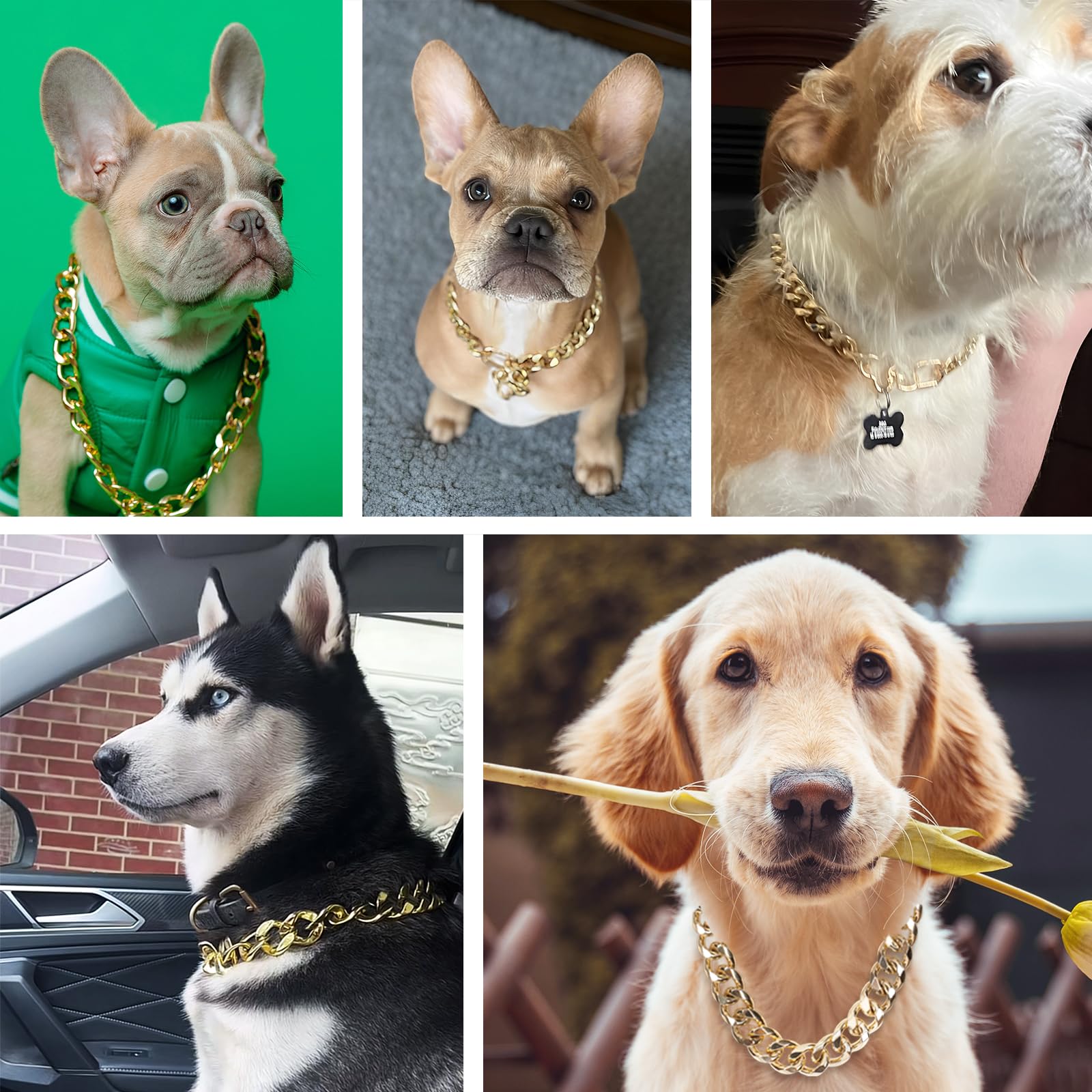 Woofuu 19Mm Heavy Duty Thick Cuban Link Dog Collar,Gold Dog Chain Collar For Small Dogs - 22 Inches Length Dog Necklace Collar