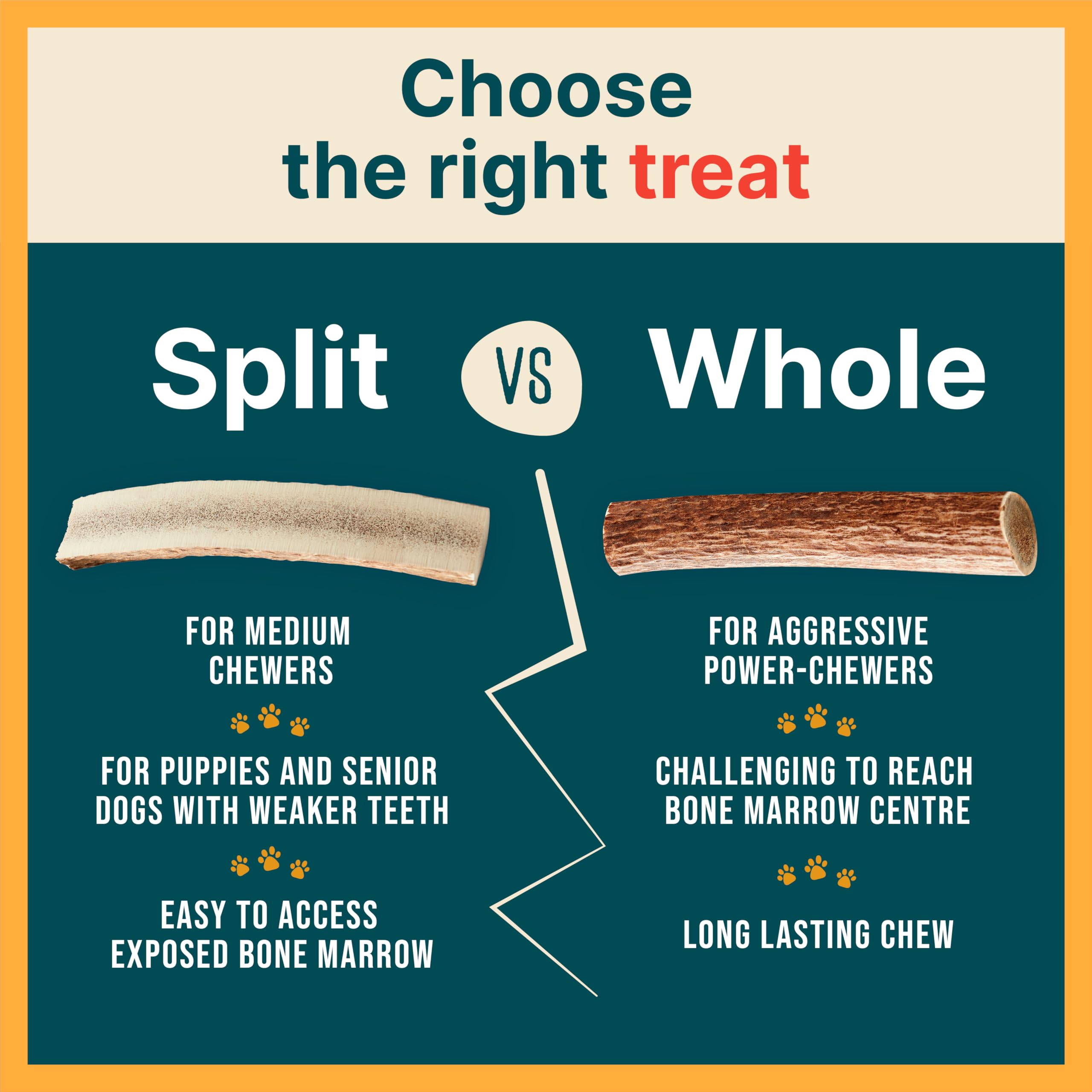 100% Natural - Elk Antlers for Dogs ( Split ) - Naturally Shed in USA - Dog Antler Chews Medium Breeds - Natural, Long-Lasting T