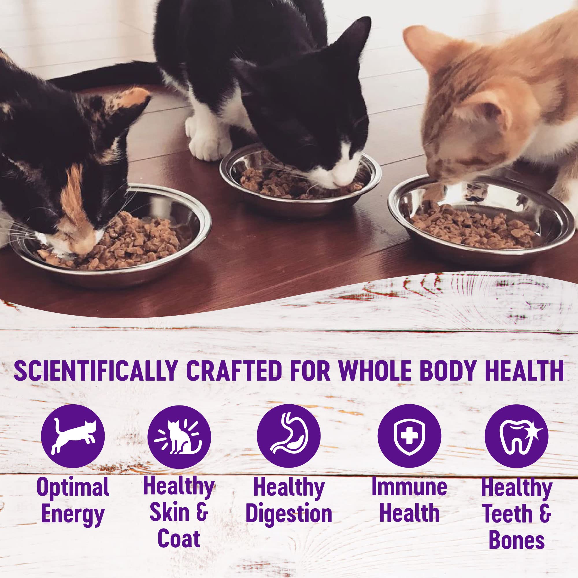 Wellness Healthly Indulgence Morsels Adult Wet Cat Food, Natural, Protein-Rich, Grain Free, 3 Ounce Pouch, 24 Pack, (Chicken & S