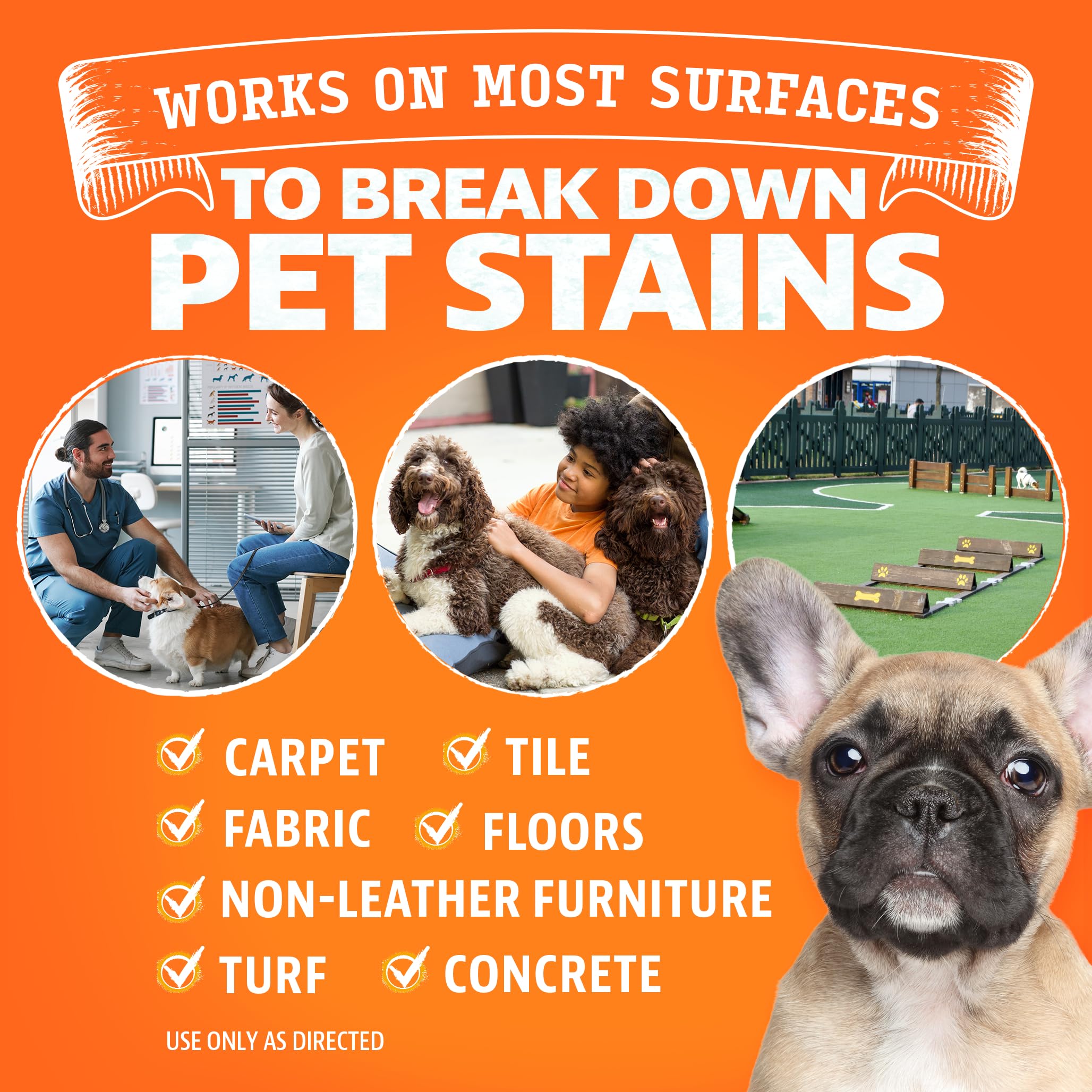 Angry Orange Pet Stain Remover For Dog Urine And Stains - Enzyme Cleaner - Citrus - 1 Gallon