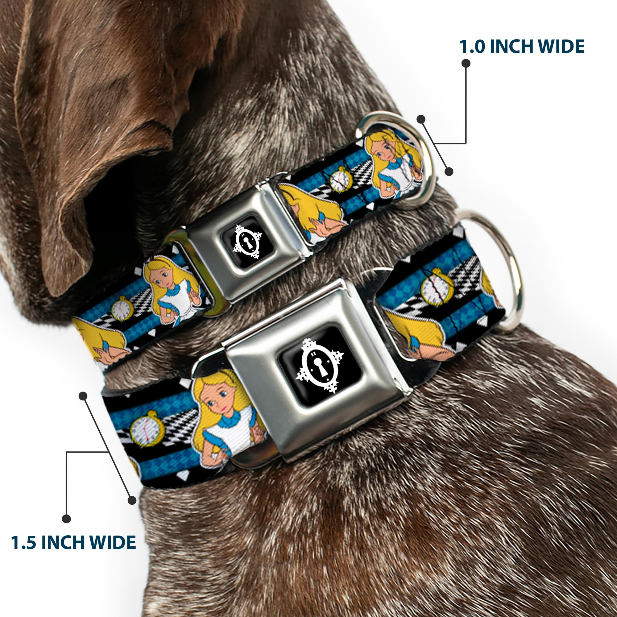 Dog Collar Seatbelt Buckle Alice In Wonderland Poses Clock Bottle Black White Blues 9 To 15 Inches 1.0 Inch Wide