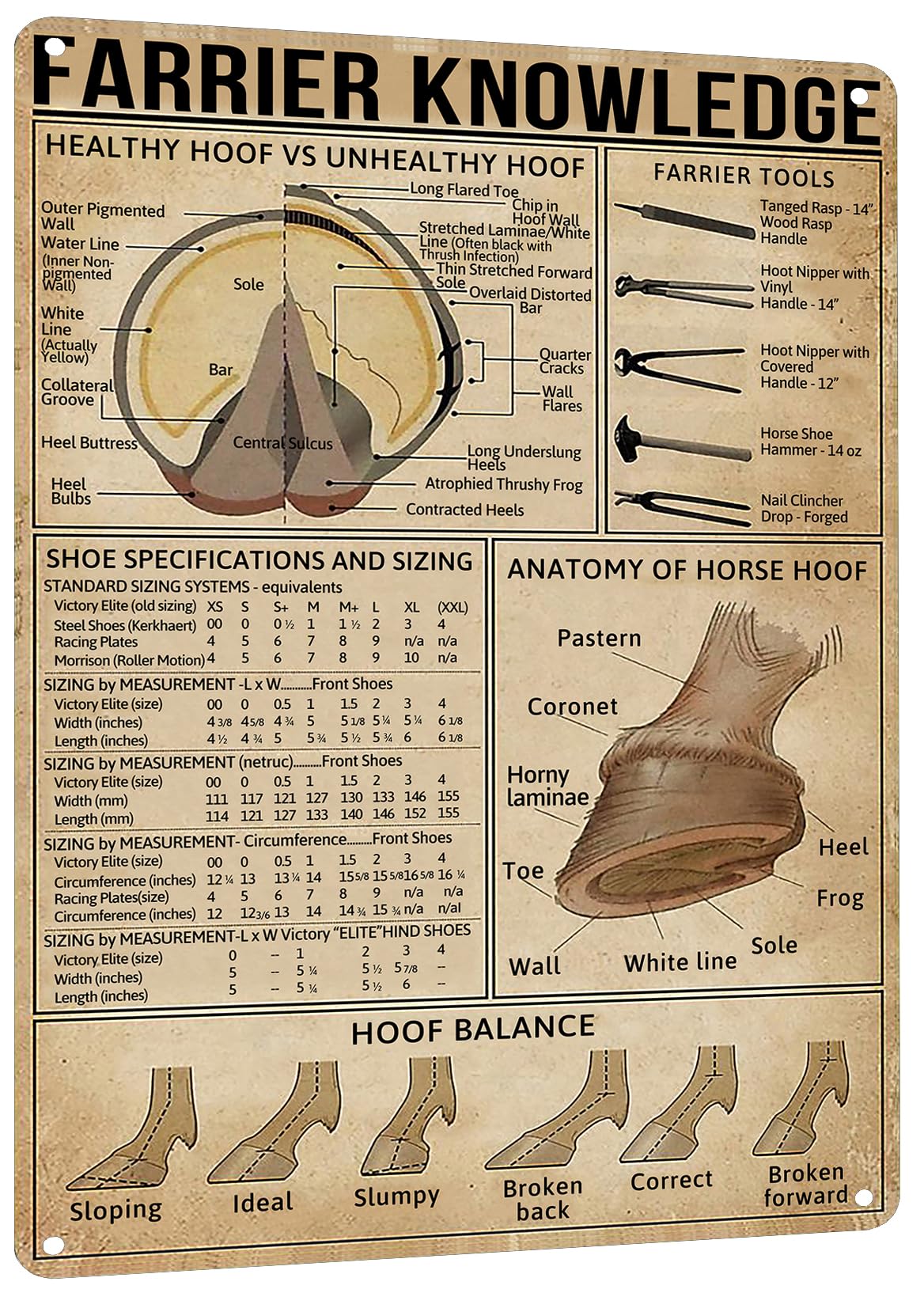 HYBLOM Farrier Knowledge Horse Hoof Anatomy Tin Sign - Educational Retro Metal Poster for Horse Lovers, Cowboy, Home, School, Fa