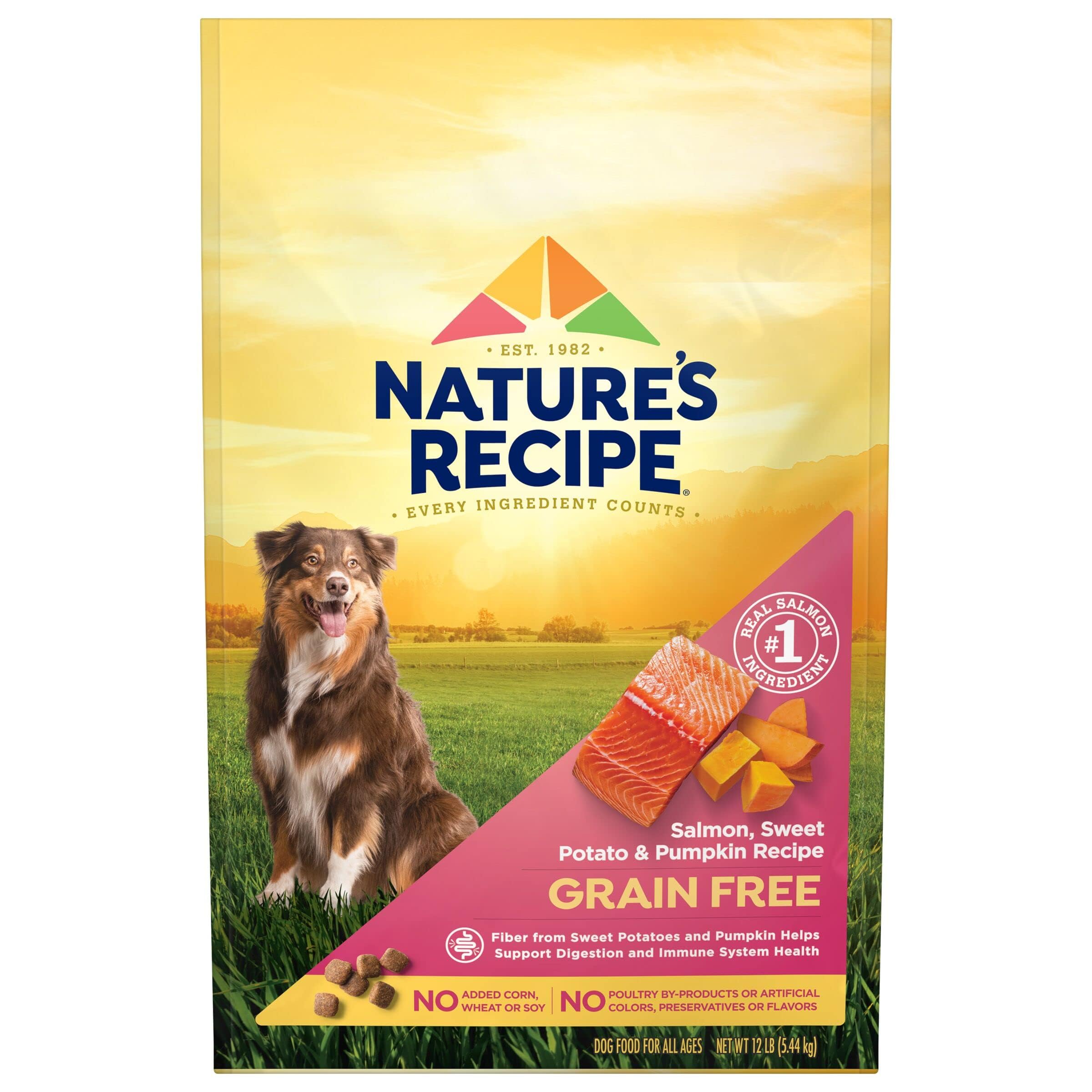 Natures Recipe Grain Free Salmon, Sweet Potato & Pumpkin Recipe Dry Dog Food, 12 lb. Bag