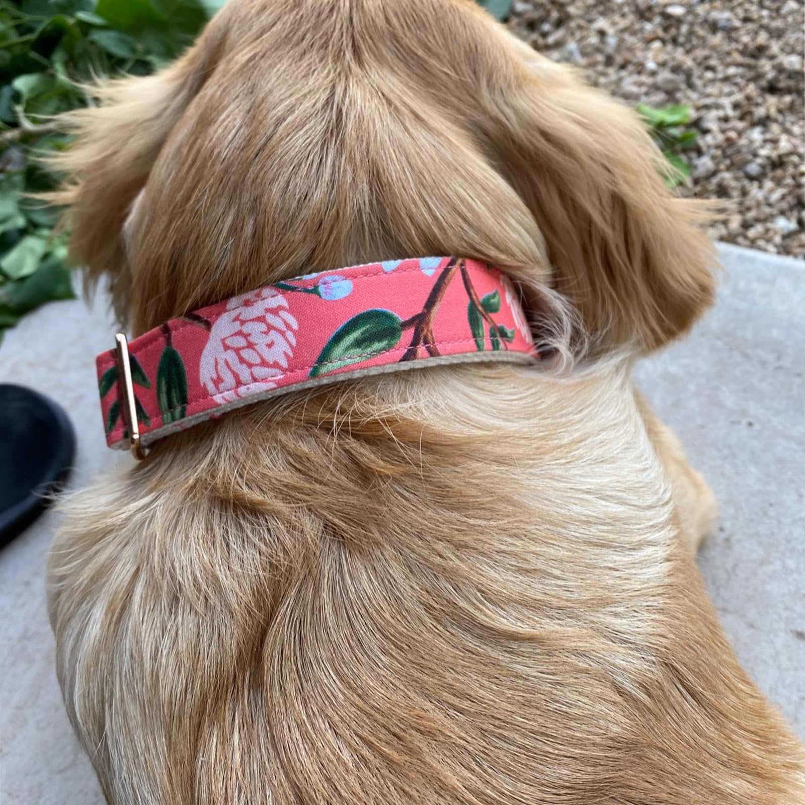 Elegant Little Tail Dog Collar, Pink Floral Print Pet Collar Summer Dog Collar Pet Collar Dog Cotton Durable Dog Collar Metal Bu