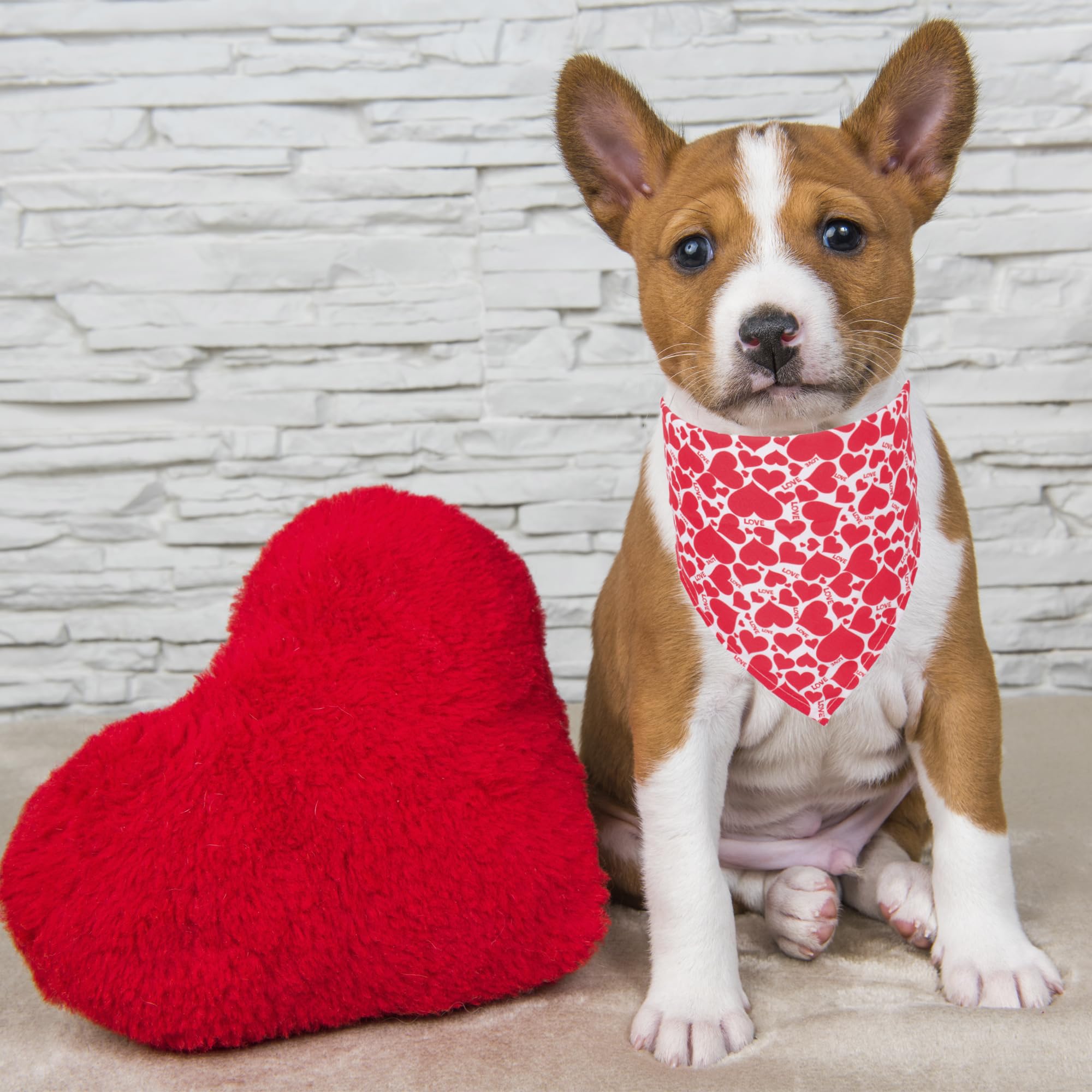 ADOGGYGO 4 Pack Valentine Dog Bandana Triangle Pet Scarf Red Pink Heart Pattern Valentine Bandanas for Small Dogs Pets (Small)
