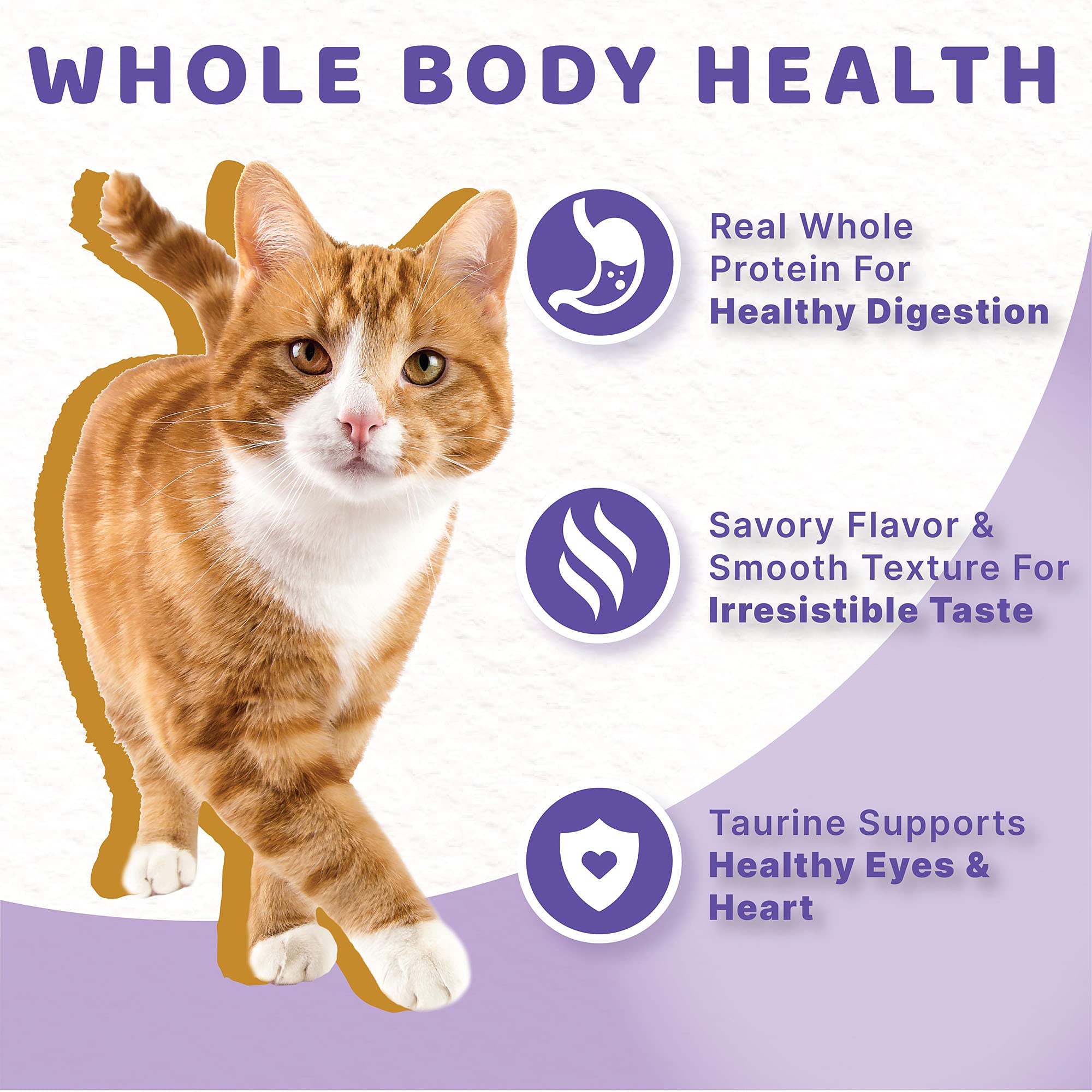Halo Wet Cat Food Whole Turkey Stew Recipe, Grain Free Wet Cat Pate, Canned Cat Food for Extra Hydration, 5.5 Oz Can (Pack of 12