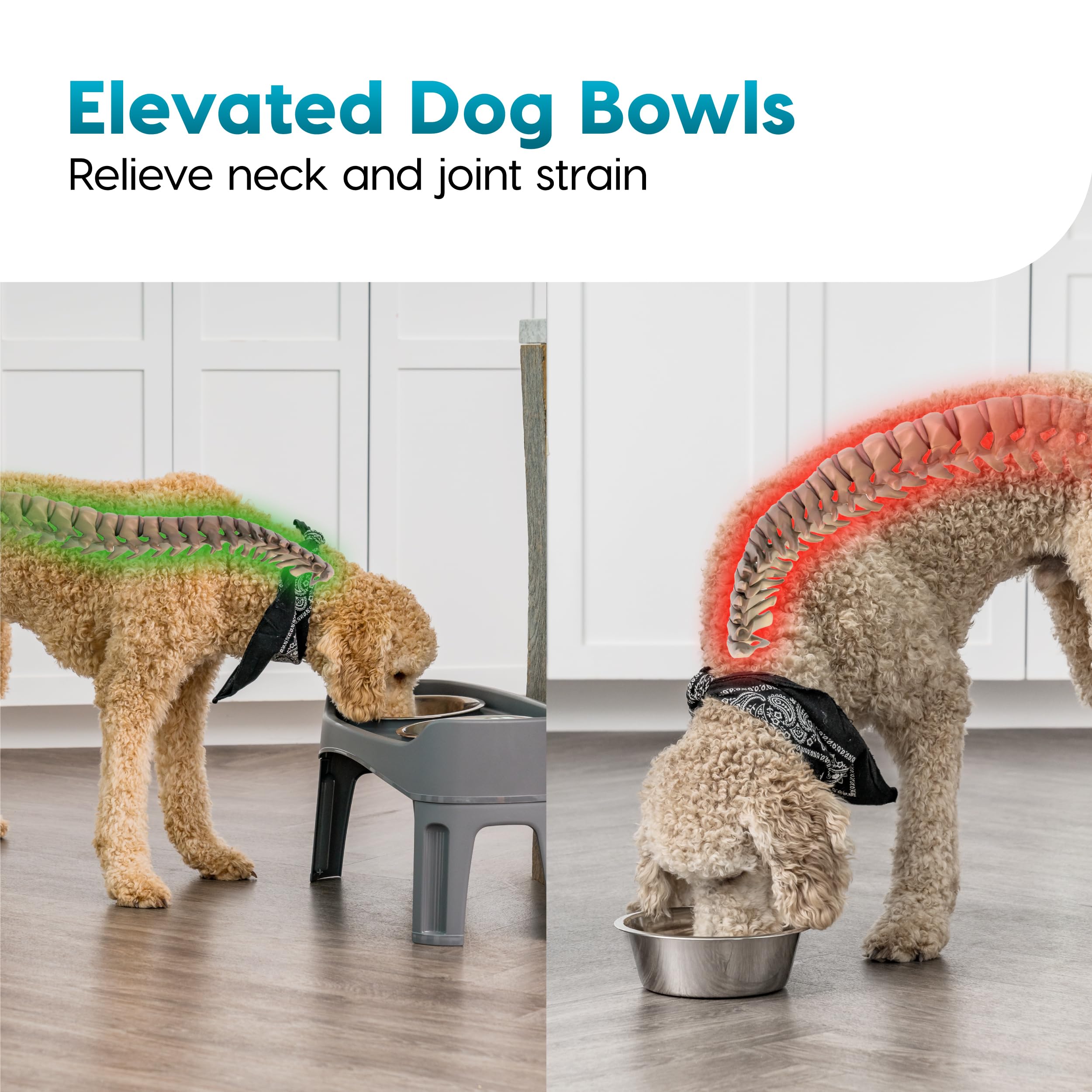 IRIS USA Elevated Dog Bowls, Adjustable Height, 2 Thick 64 oz Stainless Steel Bowls, Spill-Proof with Raised Outer Rim, Durable