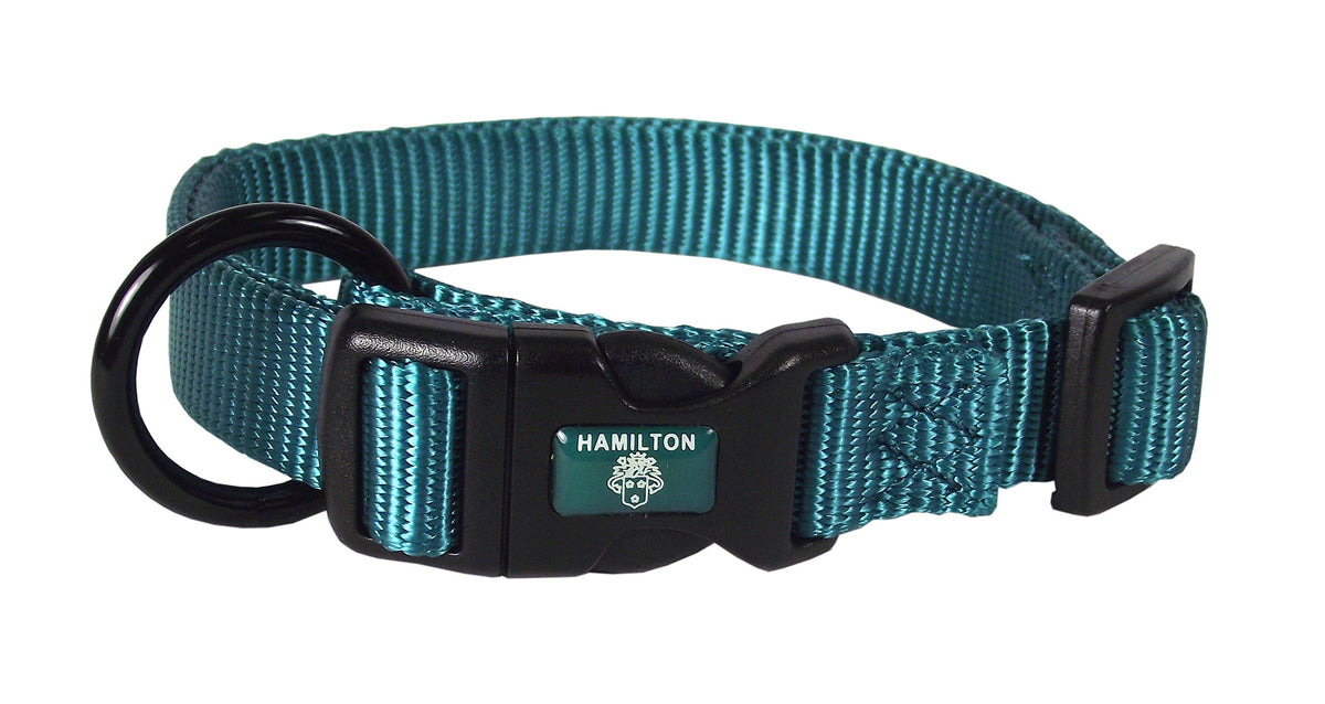 Hamilton Adjustable Nylon Dog Collar, Teal, 1' X 18-26'