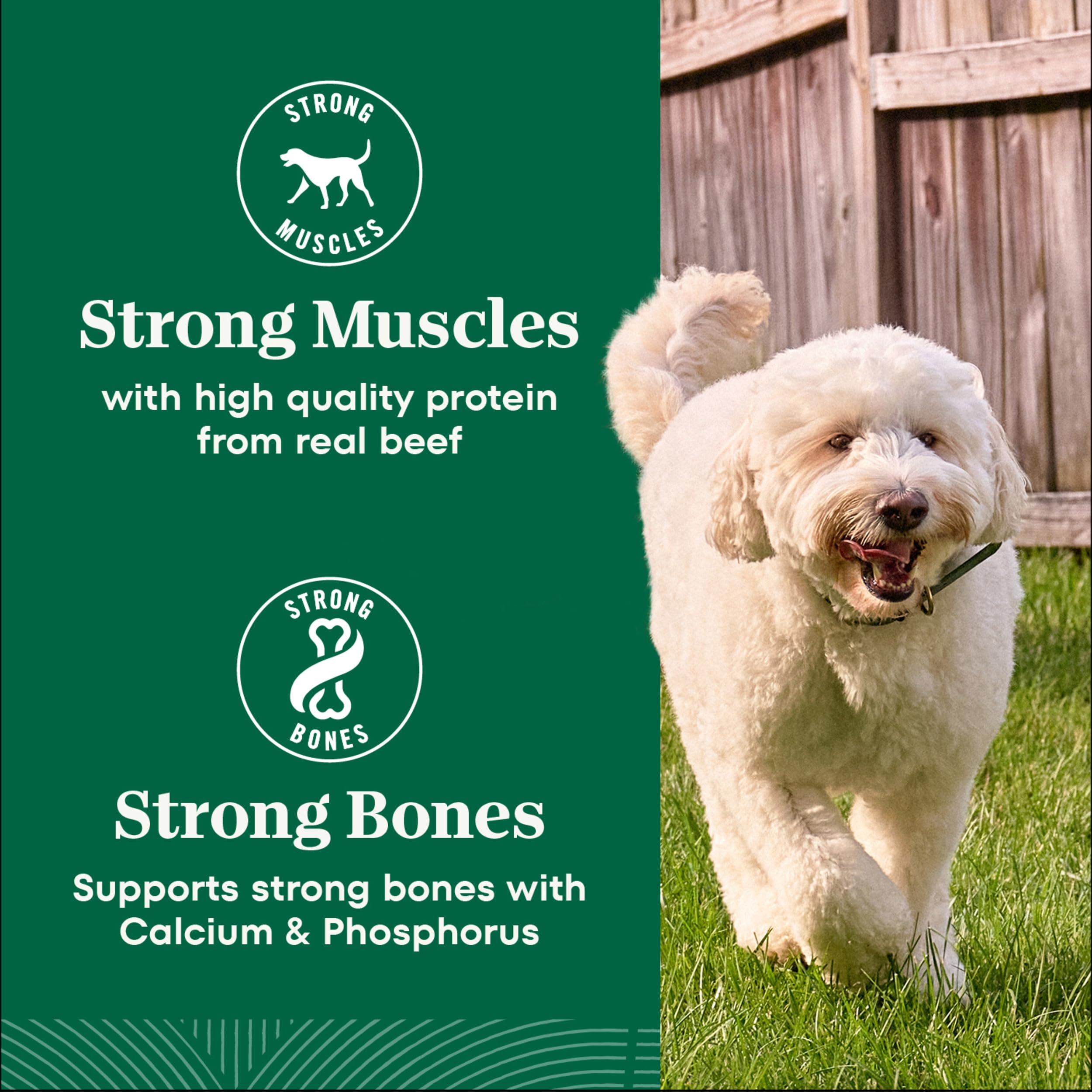 Nutro Natural Choice Adult Dry Dog Food, Beef and Brown Rice Recipe, 28 lbs.