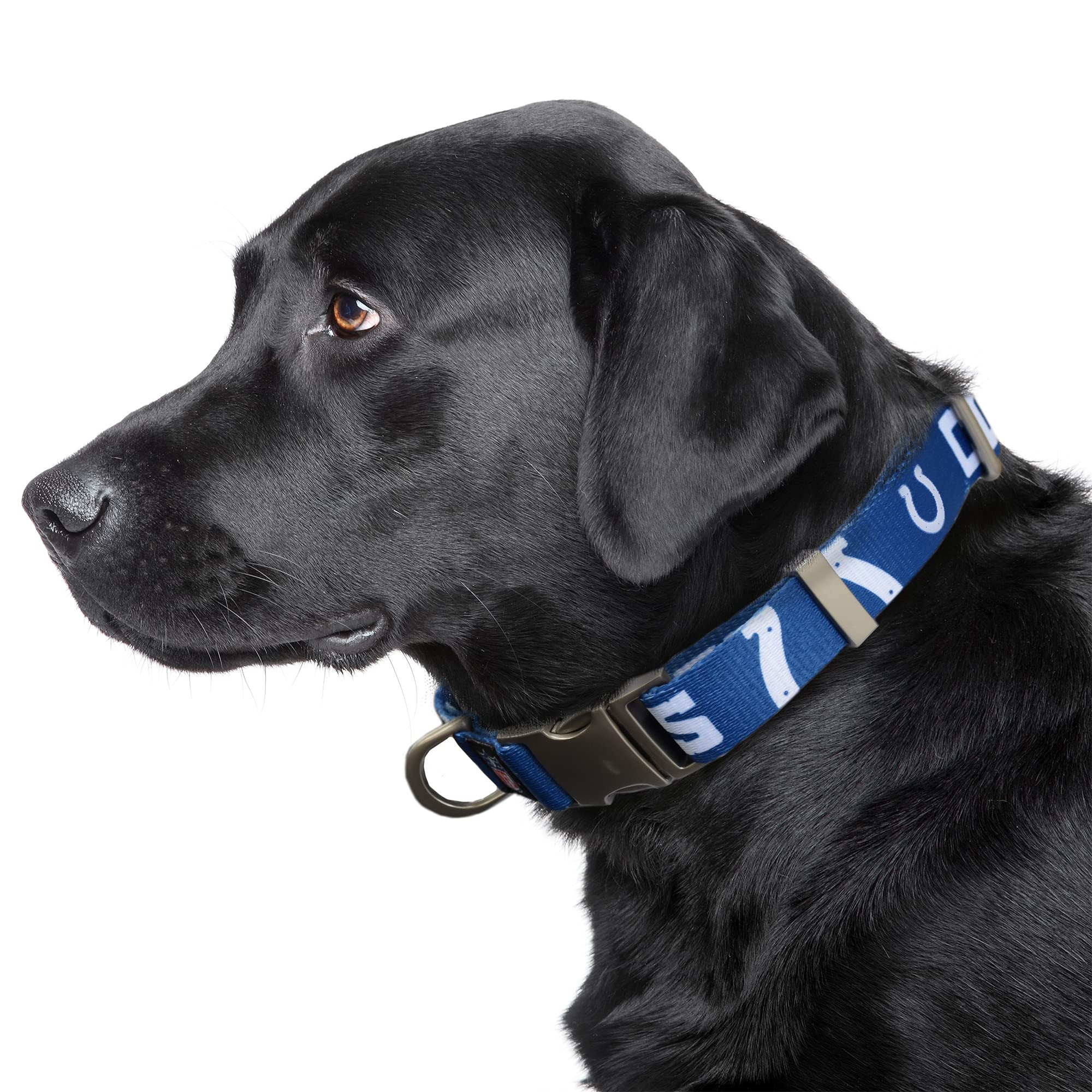 Littlearth Unisex-Adult Nfl Indianapolis Colts Premium Pet Collar, Team Color, Large