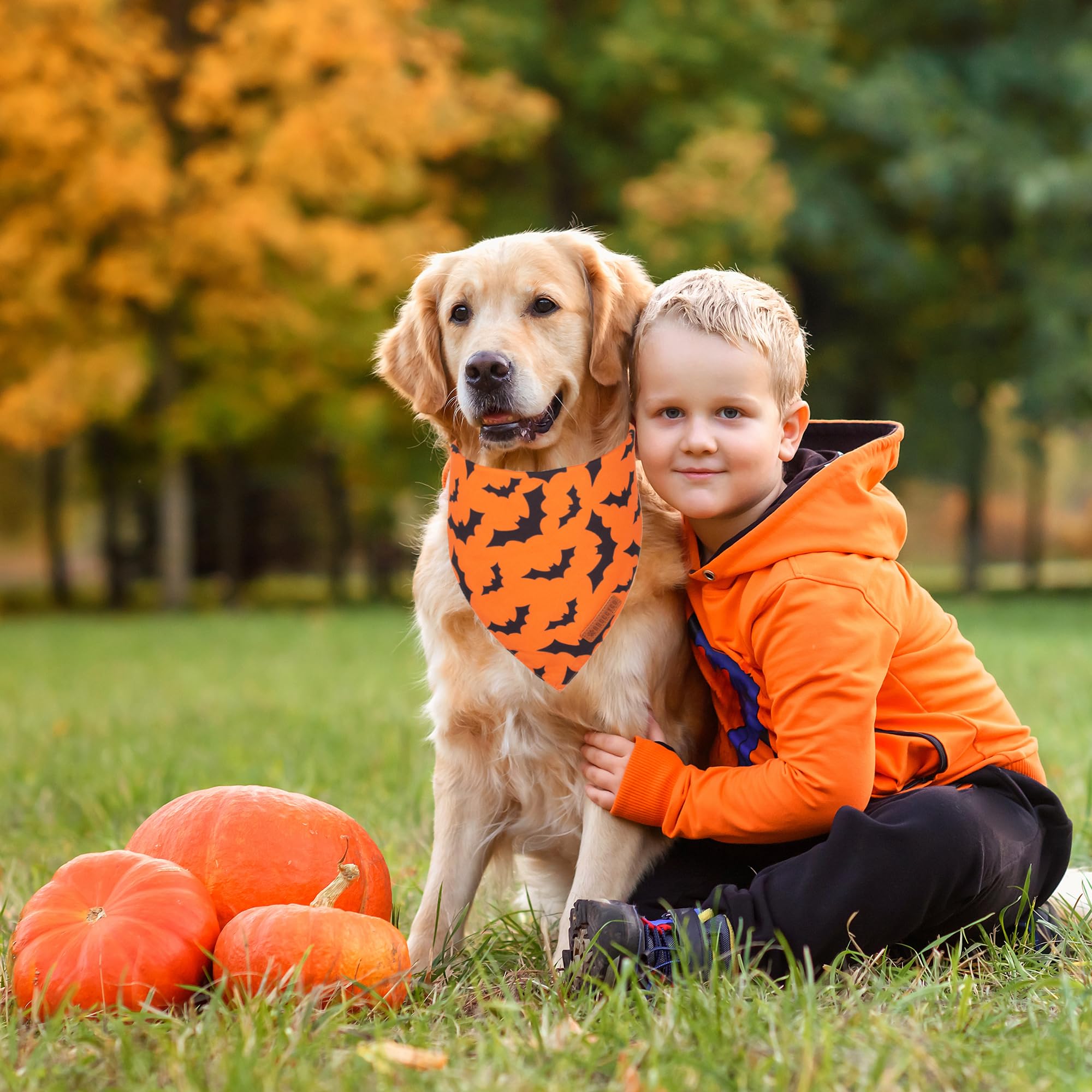 Adoggygo Halloween Dog Bandana, Pumpkin Bat Design X-Large Dog Scarf, Premium Durable Fabric, Orange Black Dog Halloween Bandanas For Large And Extra Large Dogs Pets (X-Large, Halloween)