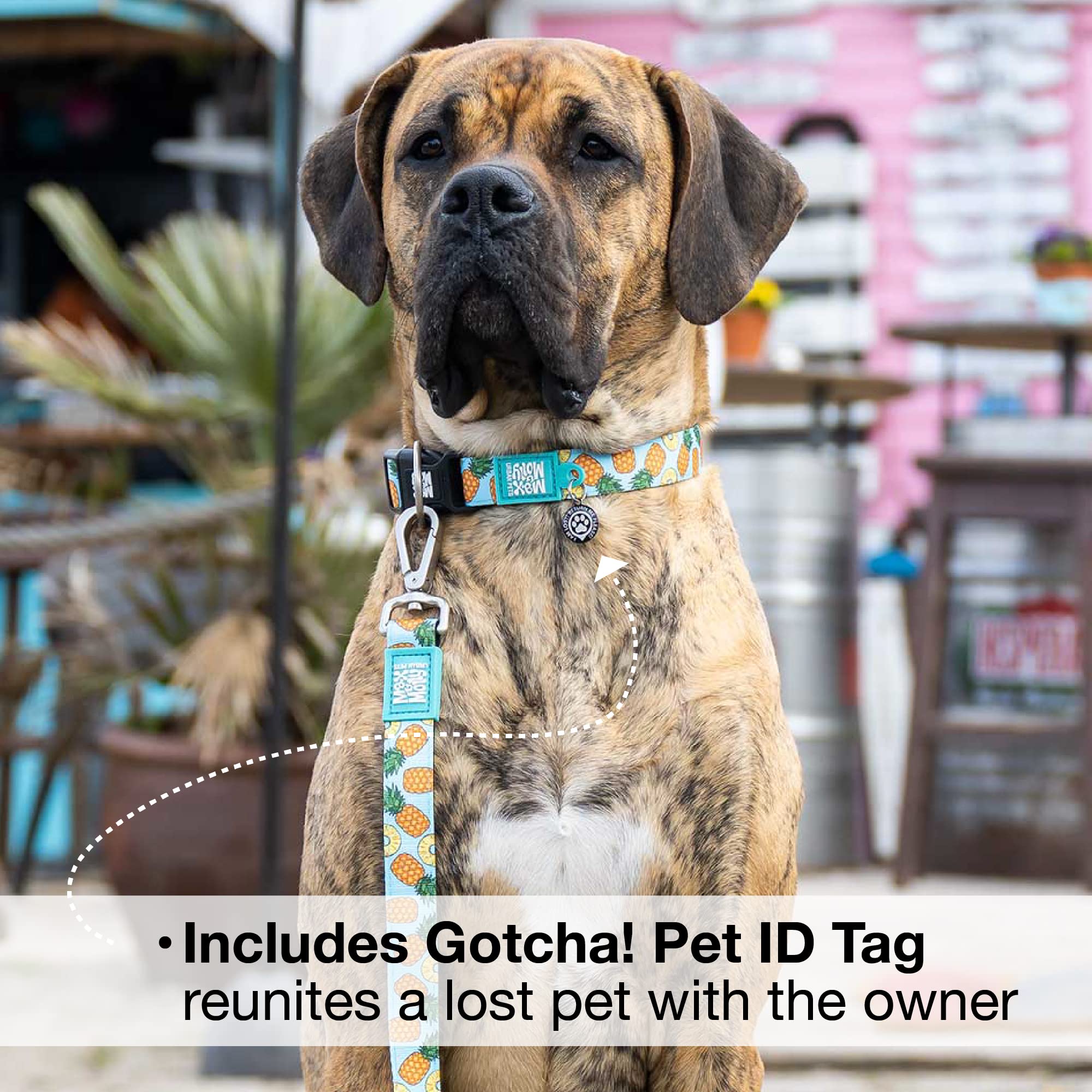 Max & Molly Urban Pets Fashion Smart ID Dog Collar, Anti-Fade, Adjustable Sizing w/Pet Profile Smart ID QR-Tag, Waterproof & Mac